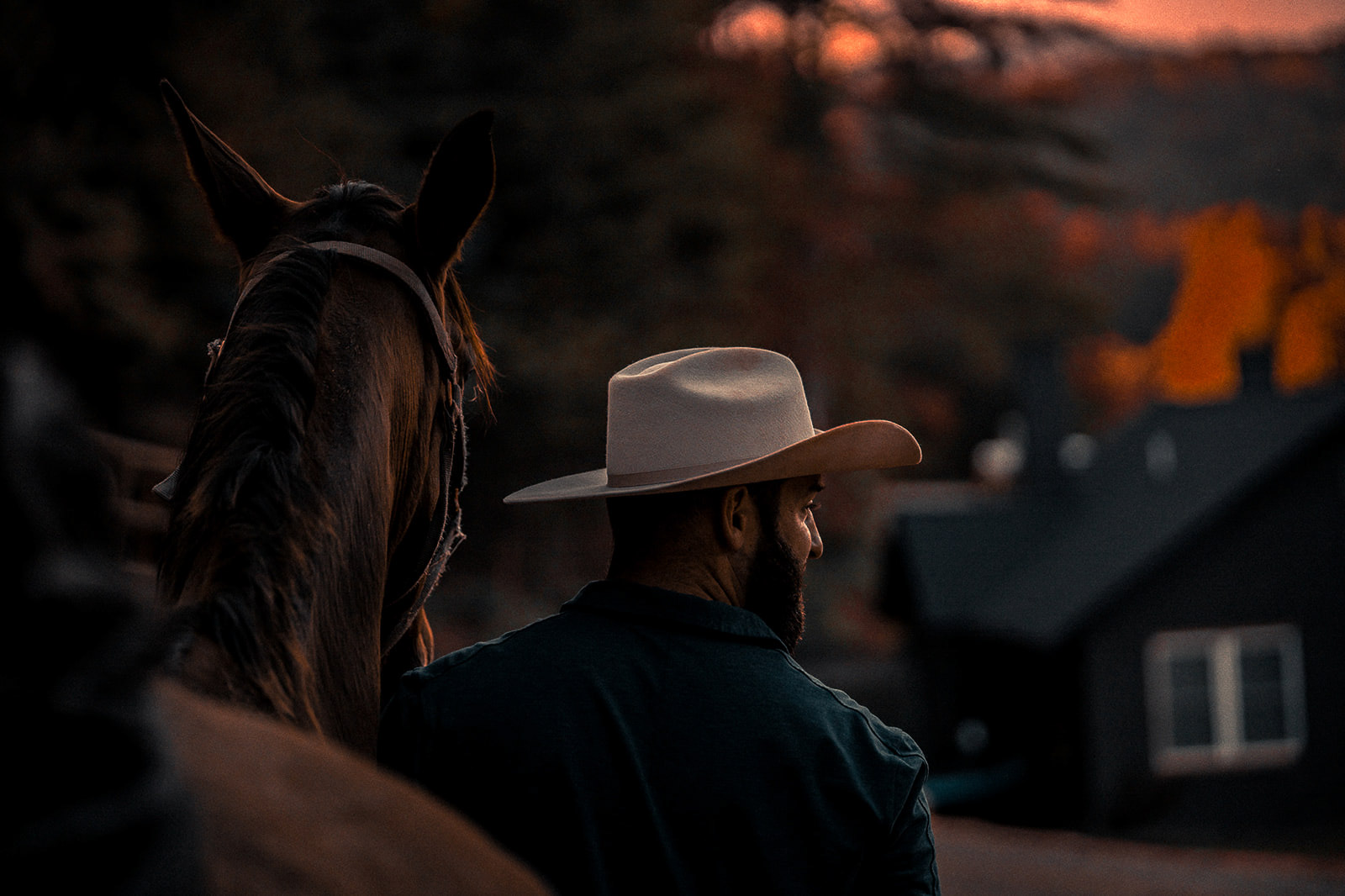 Man wearing a wide-brimmed hat standing beside a horse at dusk with blurred houses and autumn trees in the background.