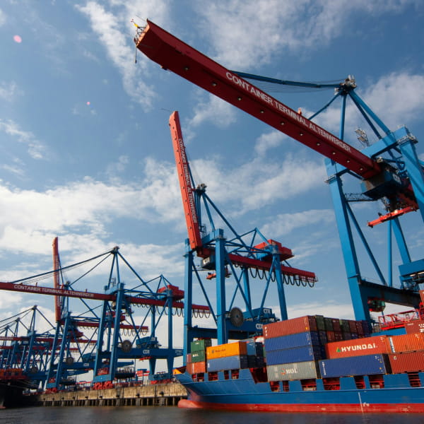 Economic Alternatives that Hold Up