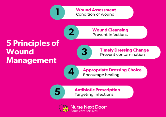 Principles of Wound Management Infographic 1