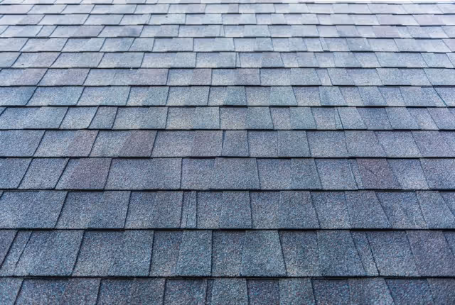 What to Do if Your Roof is Leaking