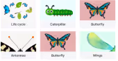The Natural World Key Vocabulary