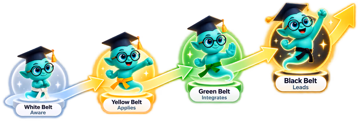 White, Yellow, Green, and Black Belt professional development pathway