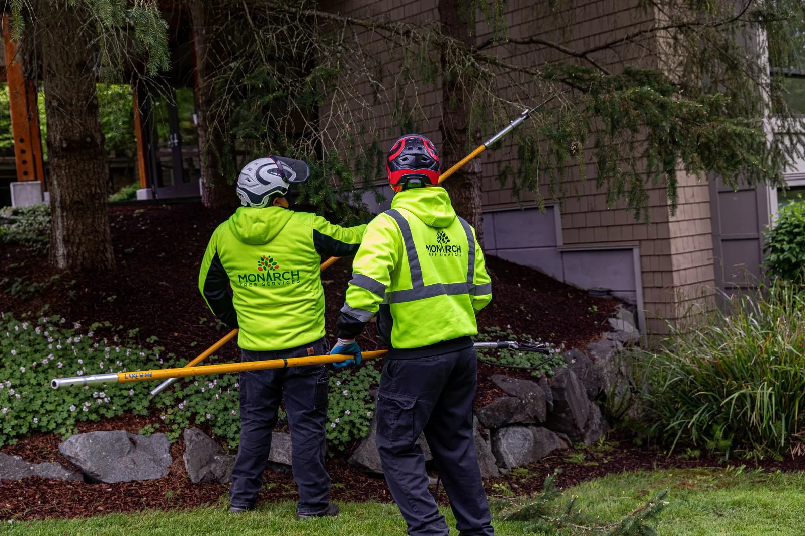2 workers pruning trees beside a modern commercial building, framed by rich greenery. 
