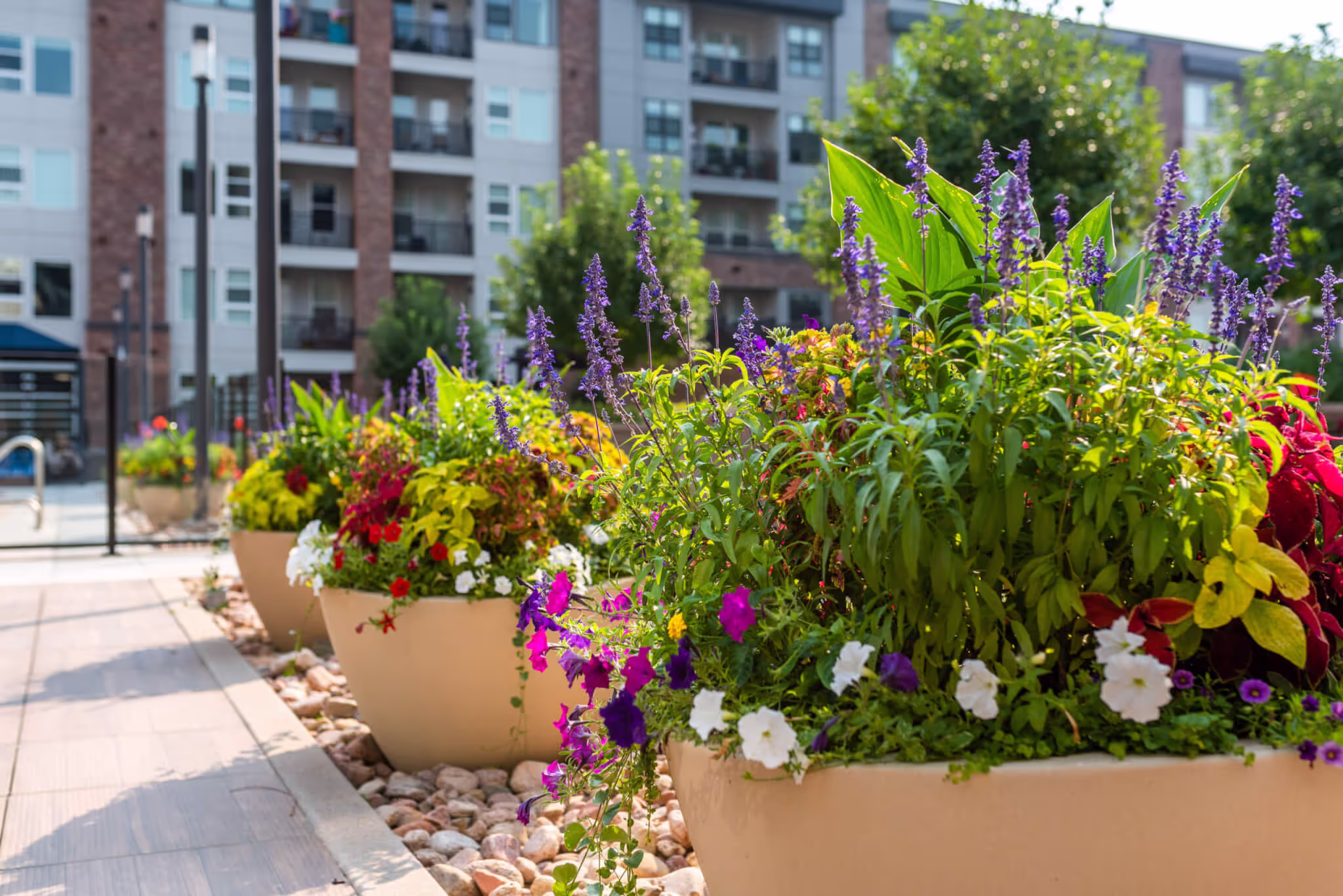 A row of large planters perfectly aligned along a residential area pathway. 