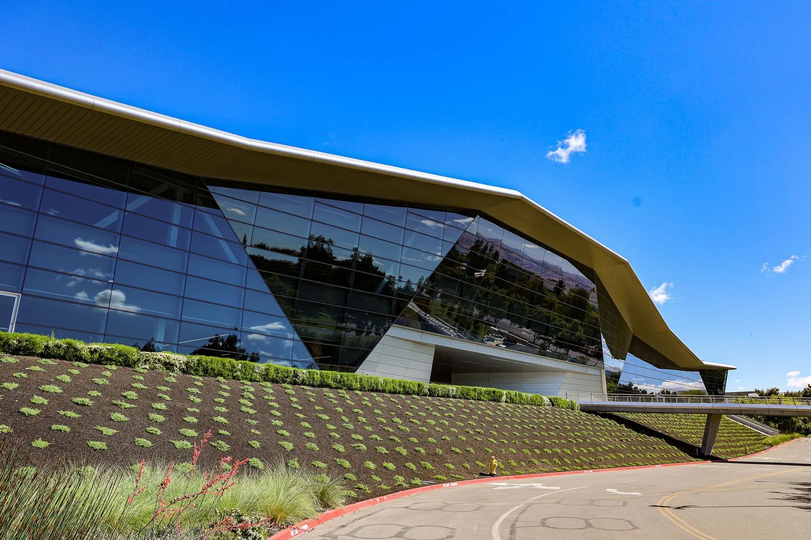 A modern commercial building sits on a gentle hill, framed by perfectly trimmed bushes. 