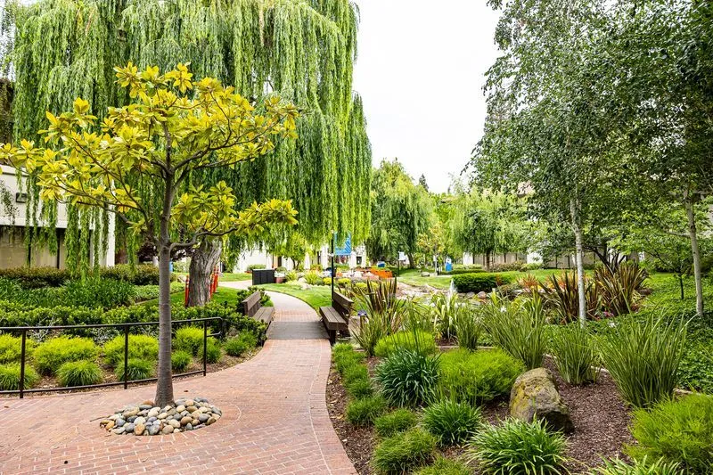 A campus pathway surrounded by well maintained trees, vibrant plants, and neatly trimmed bushes.