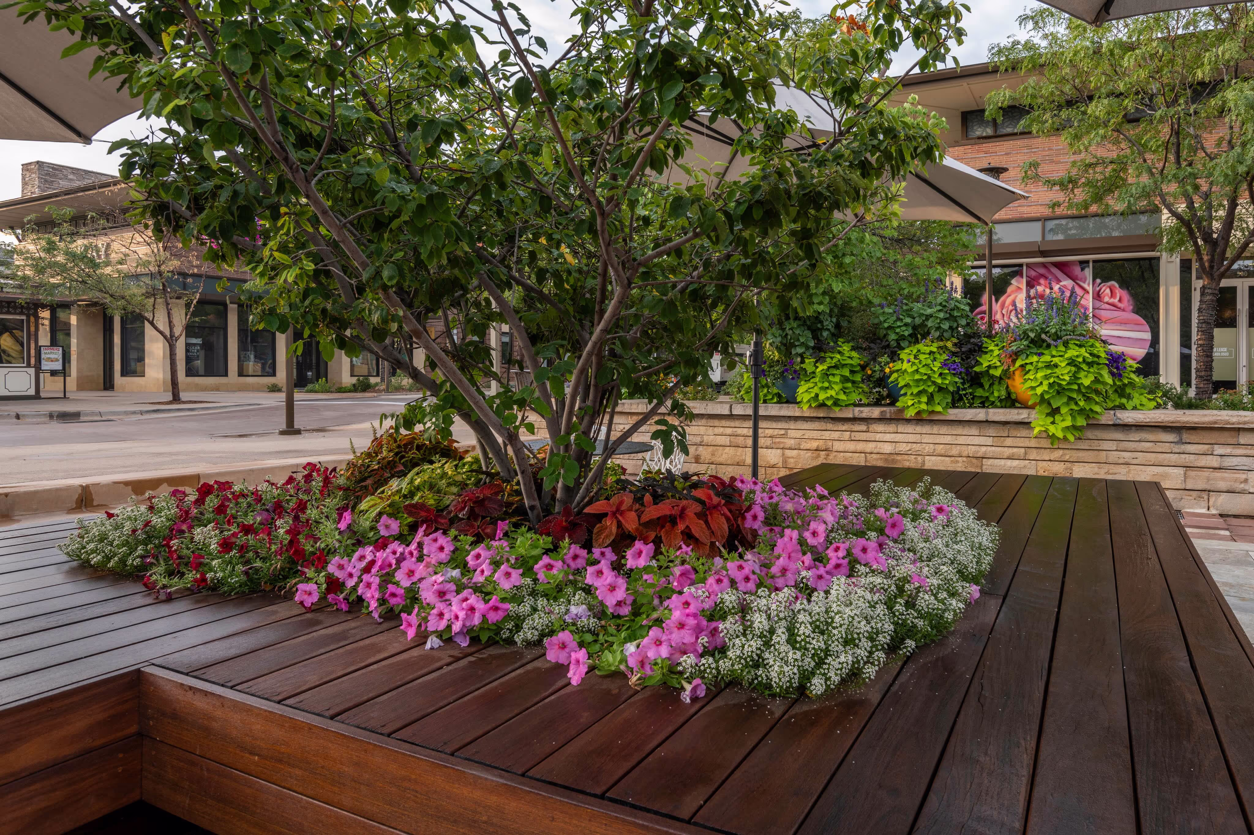 In the middle of a retail outlet sits a beatiful patch of flowers inbetween a seating area.