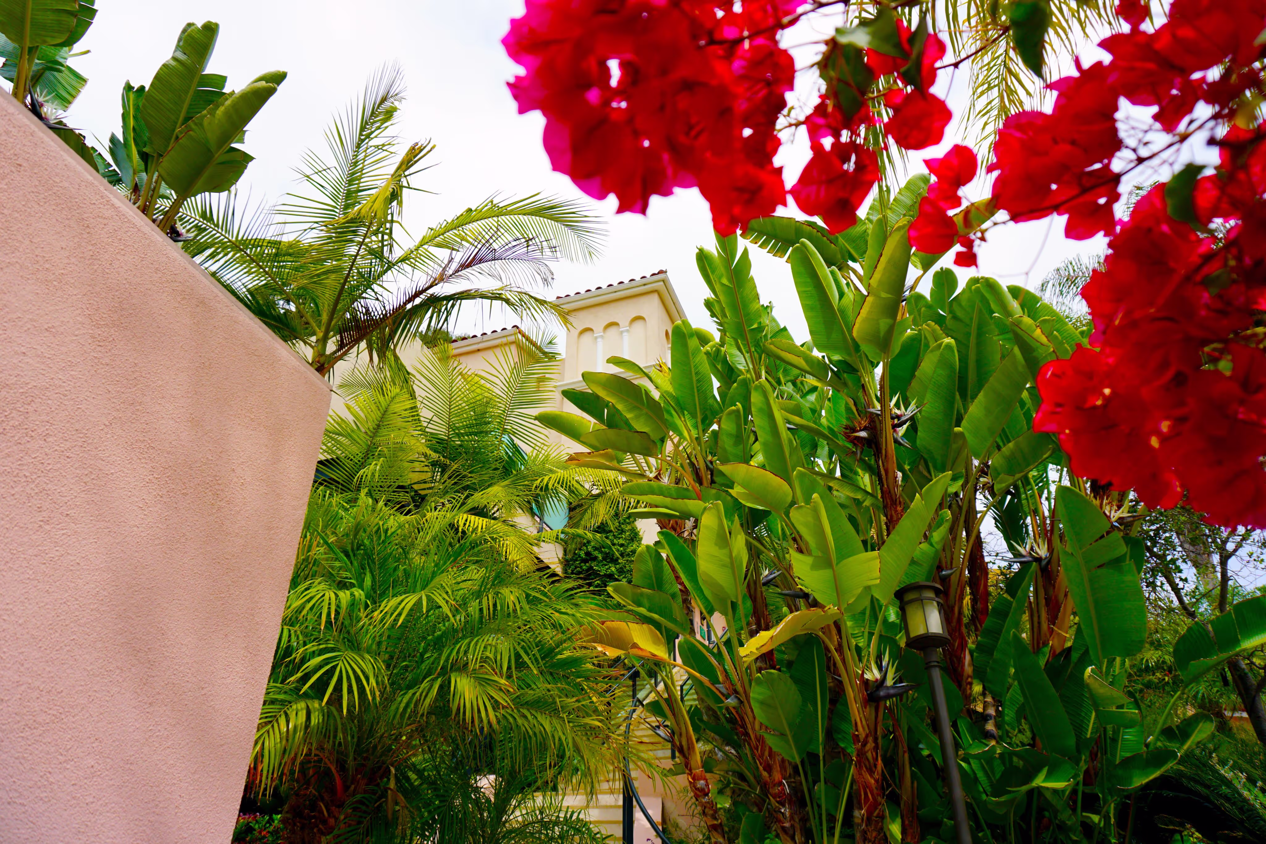 Lush greenery and coorful blossoms along the entrance of a building. 