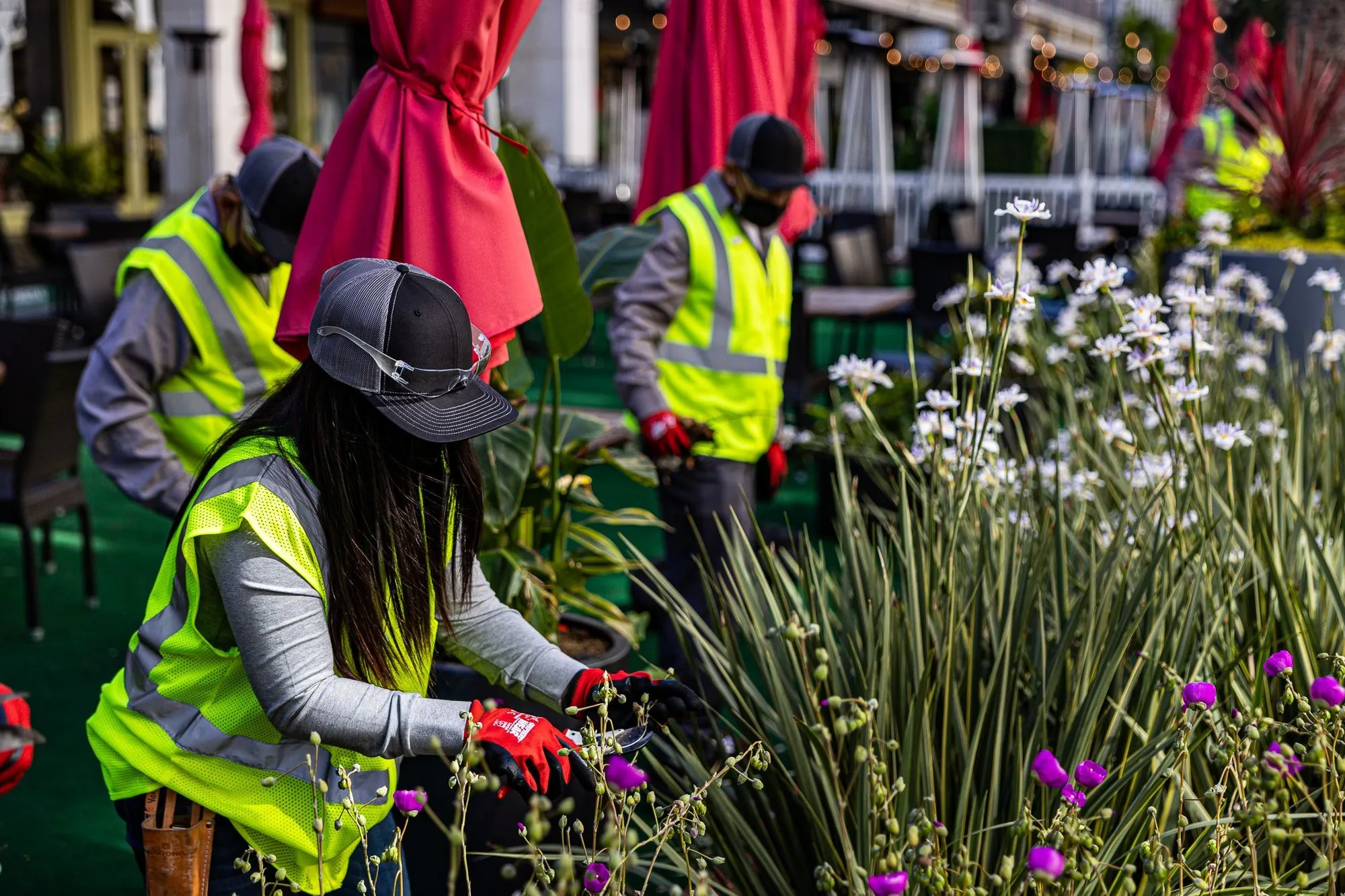 Along the edge of a restaurant's outdoor patio, workers tend to blooming flowers and lush greenery. 