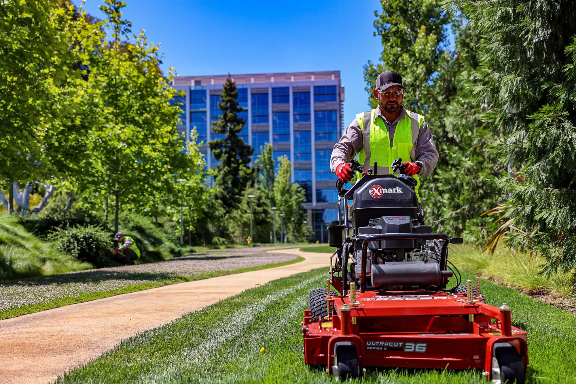 A man mowing a pathway of grass alongside a commercial building.  