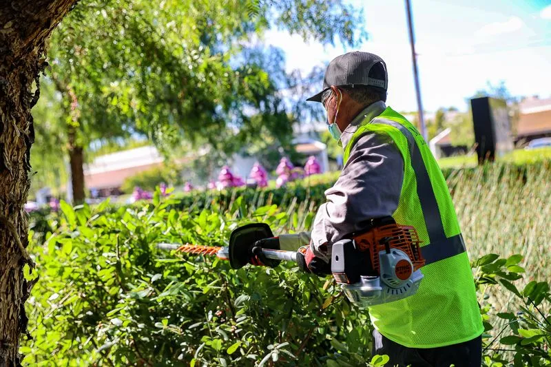 A worker trims vibrant green plants in front of a commercial area.