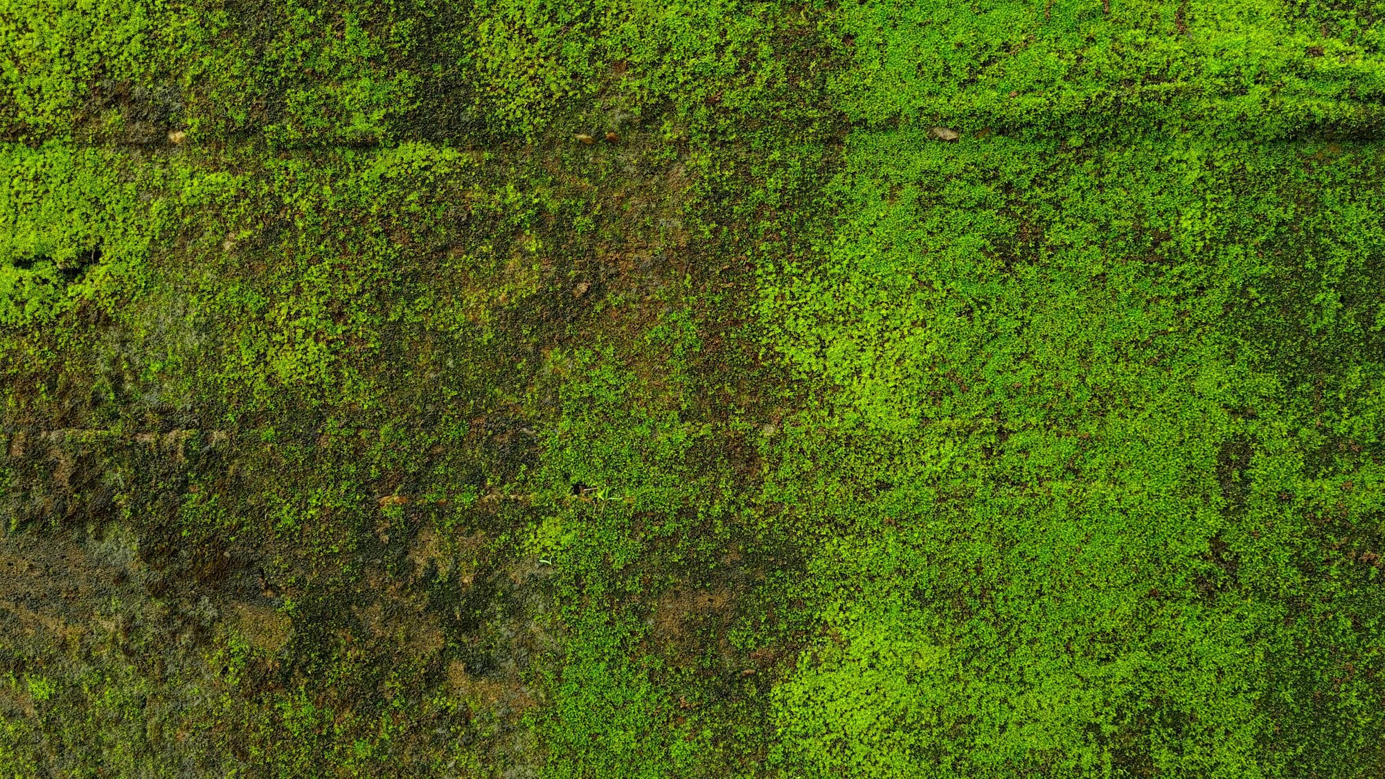 Downward view reveals the rich texture and color of a green field below. 