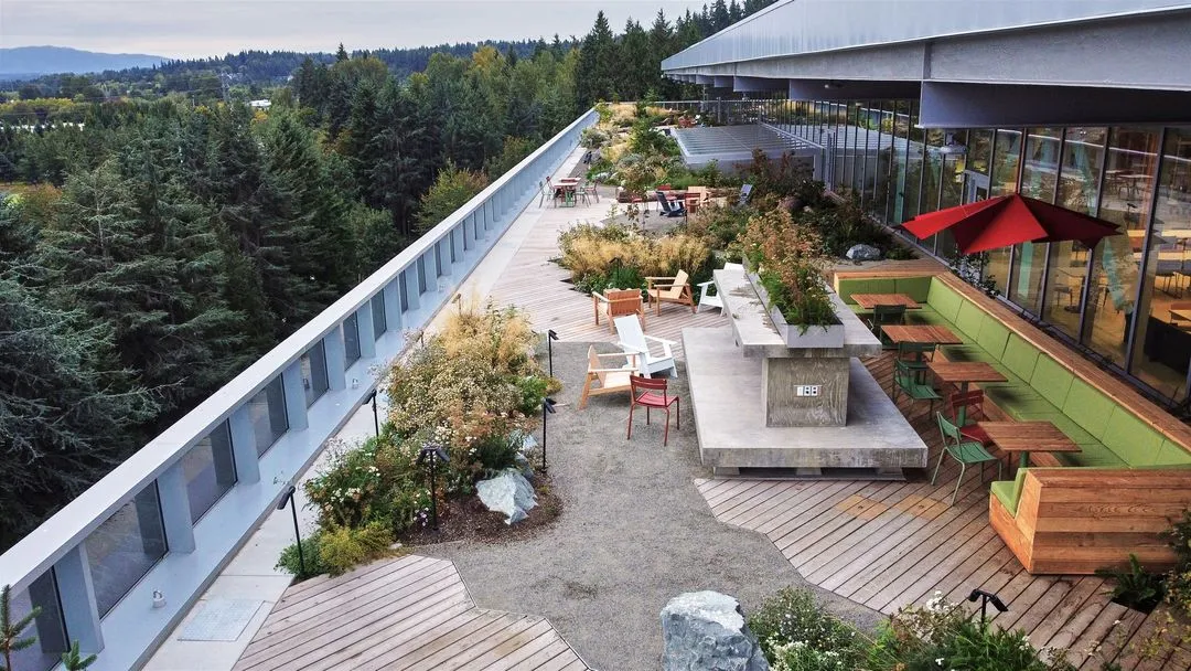 A rooftop balcony stretched across a large commercial building that is covered in well-maintained plants and bushes. 