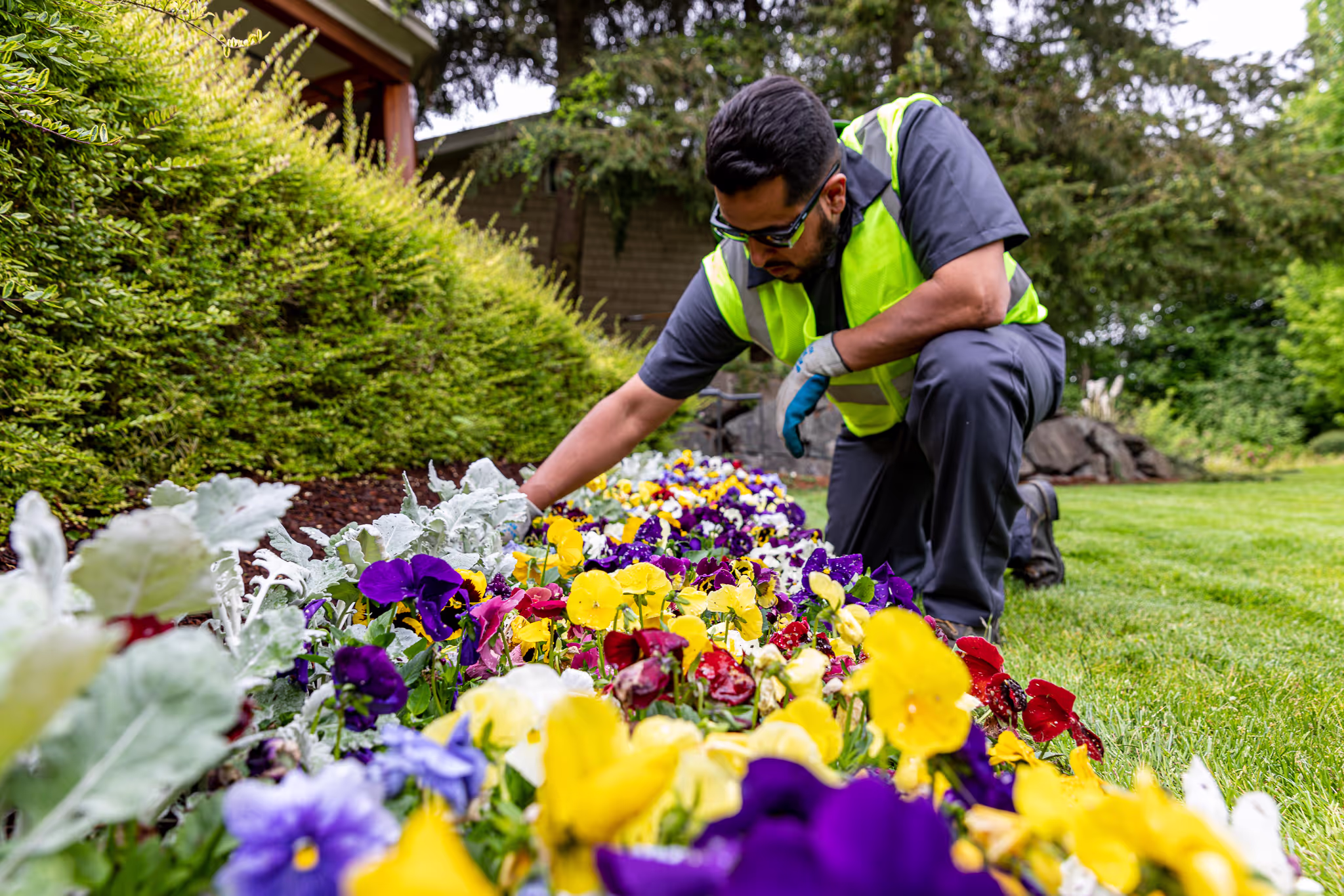 Gardener tending a colorful flowerbed with pansies and other blooms, kneeling and planting among vibrant yellow, purple, red, and white flowers
