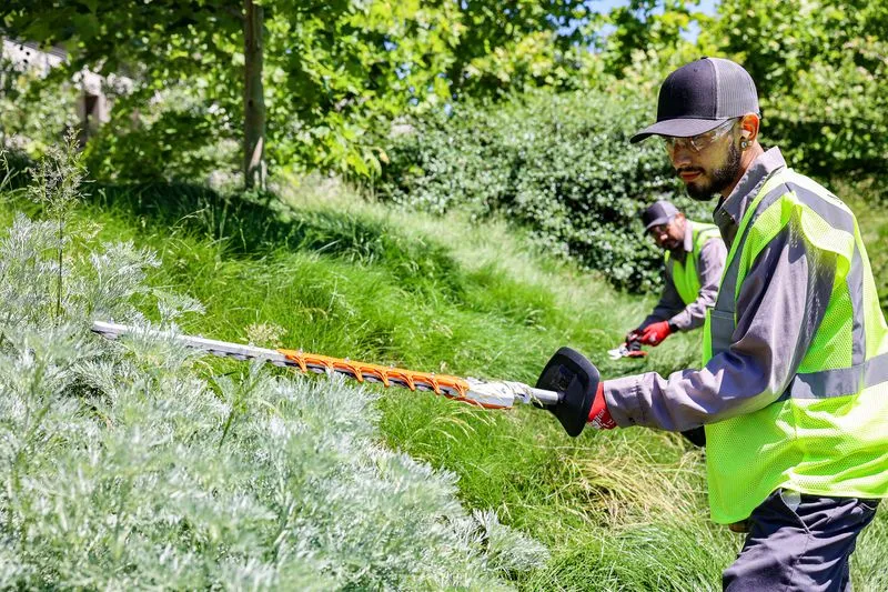 A worker nurtures the lush plants and neatly trimmed bushes scattered across a gentle, green hillside.