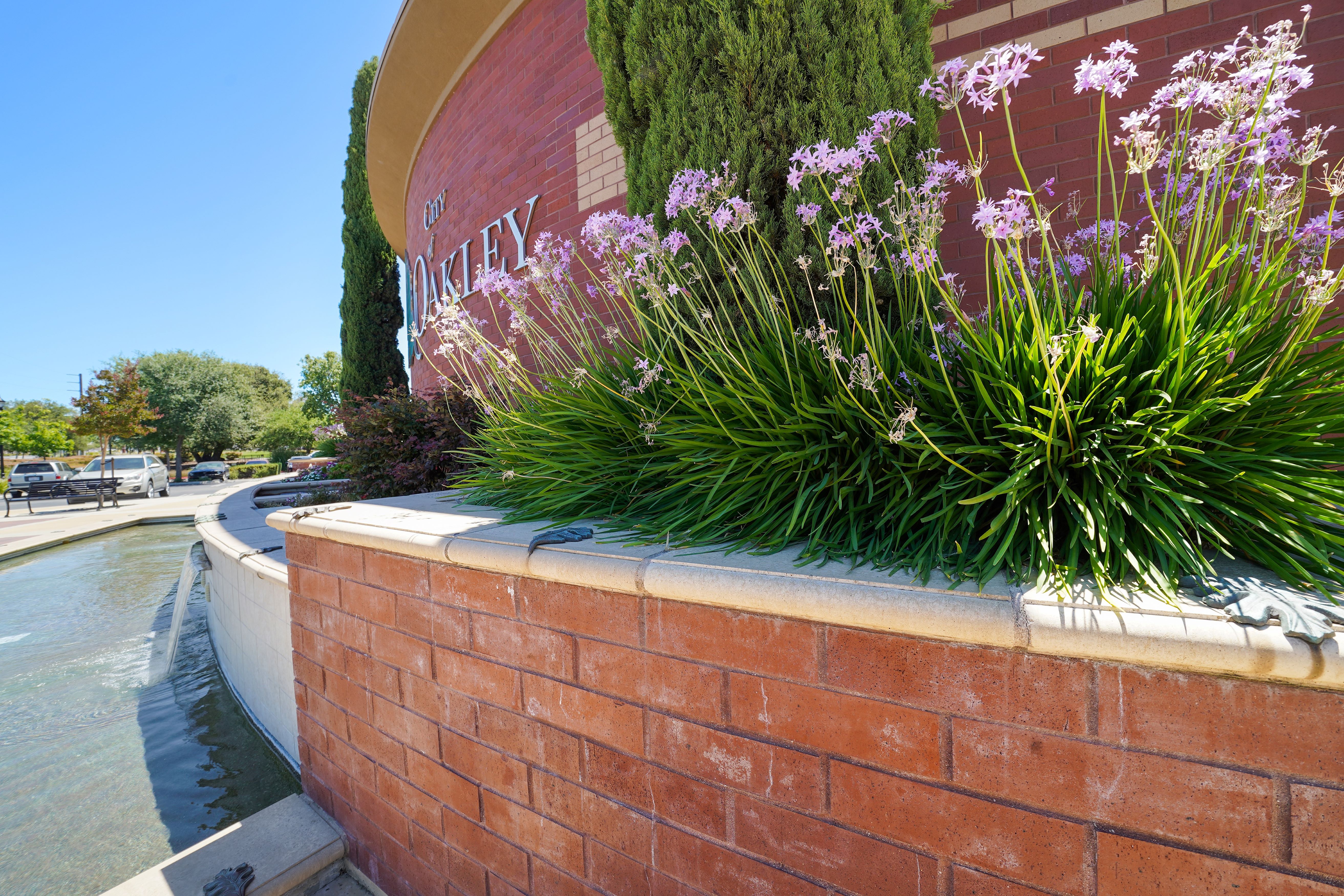 A close-up of a decorative wall featuring lush green plants and purple flowers beside a water feature, with a brick backdrop.