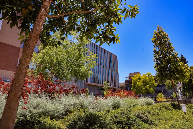 A lush array of vibrant green plants and vivid red flowers lines the outskirts of a commercial building. 