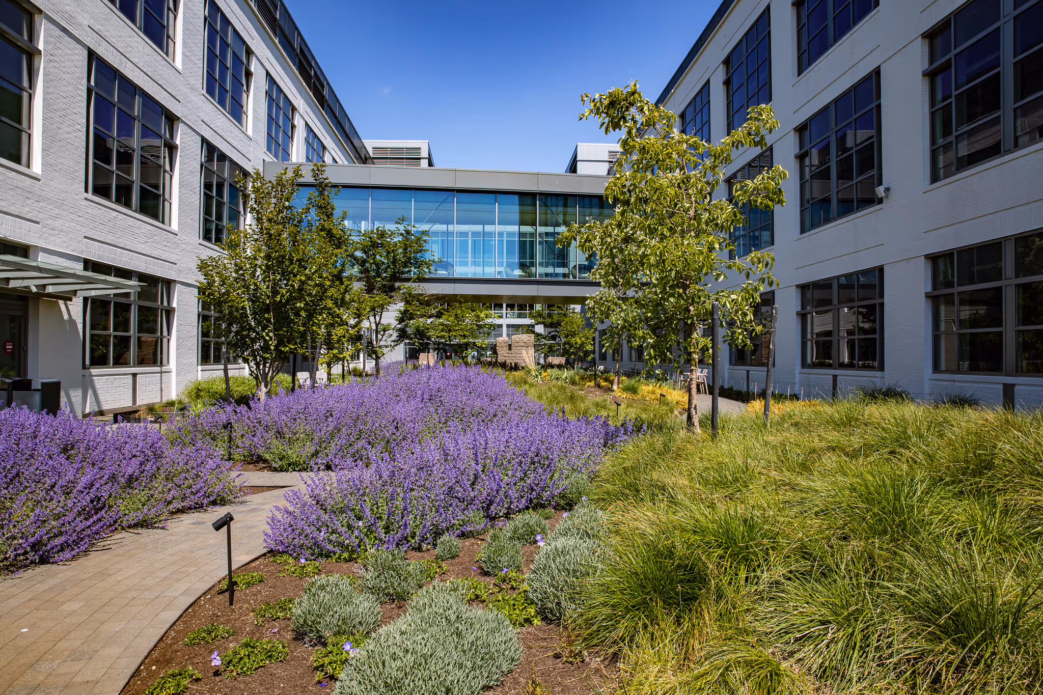 From a distance, Empower Field at Mile High stands proudly on a sunny day, surrounded by a landscape of well-maintained grass and trees.