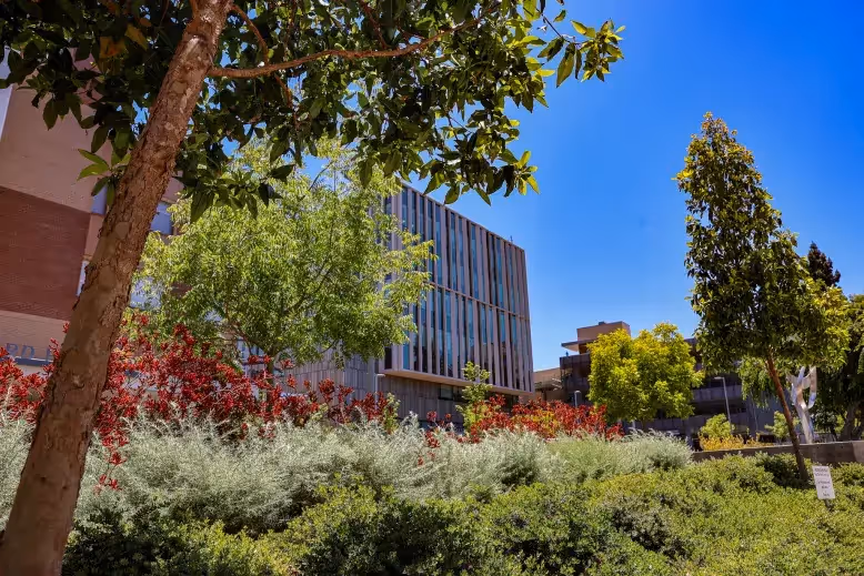 From a distance, Empower Field at Mile High stands proudly on a sunny day, surrounded by a landscape of well-maintained grass and trees.