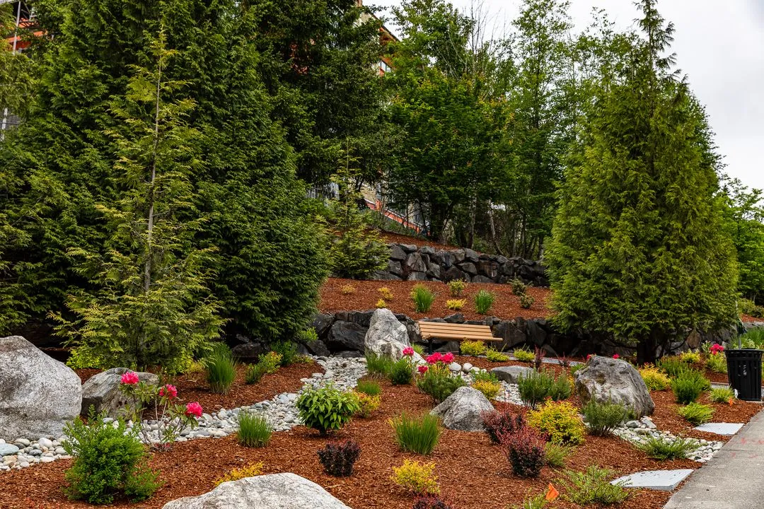Layered across gentle hills, a spread of lush green trees line along a winding path through a park. 