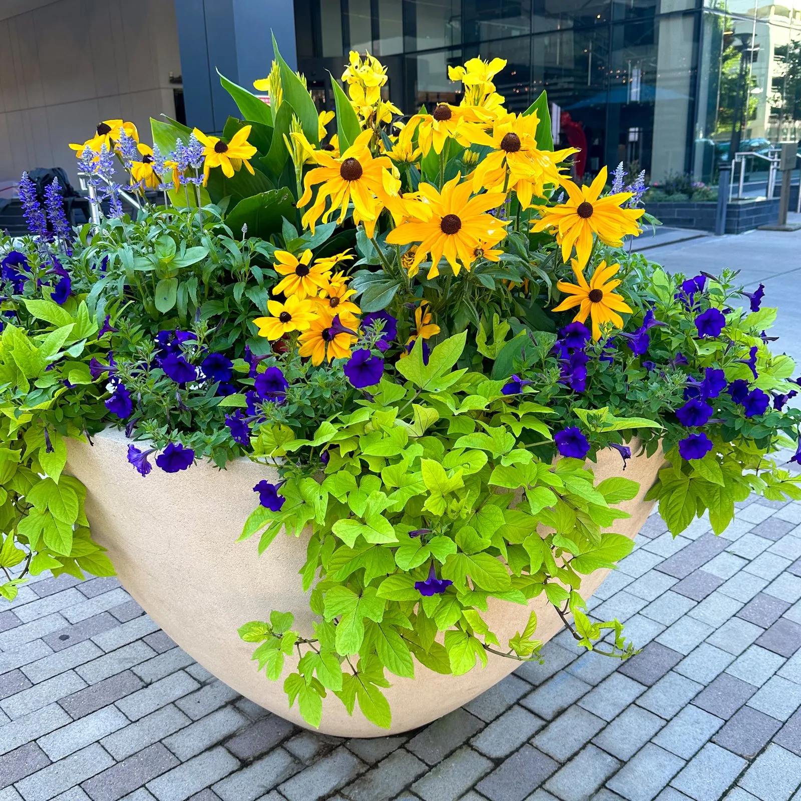 A large planter with vibrant yellow and purple flowers sitting in front of a commercial building. 