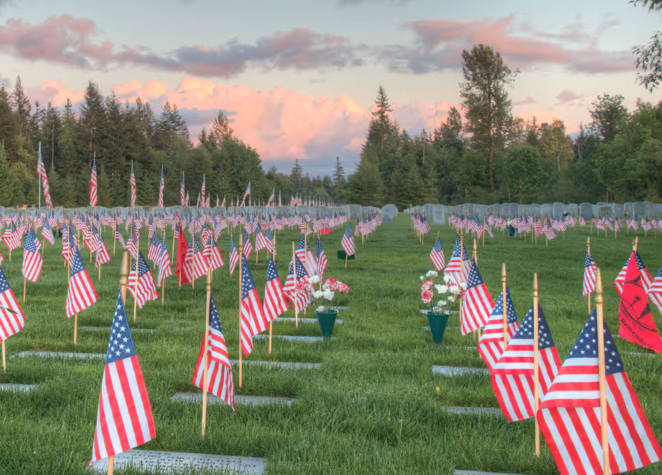 A vast cemetary stretches out with neatly trimmed grass, each grave marked by a waving American Flag. 
