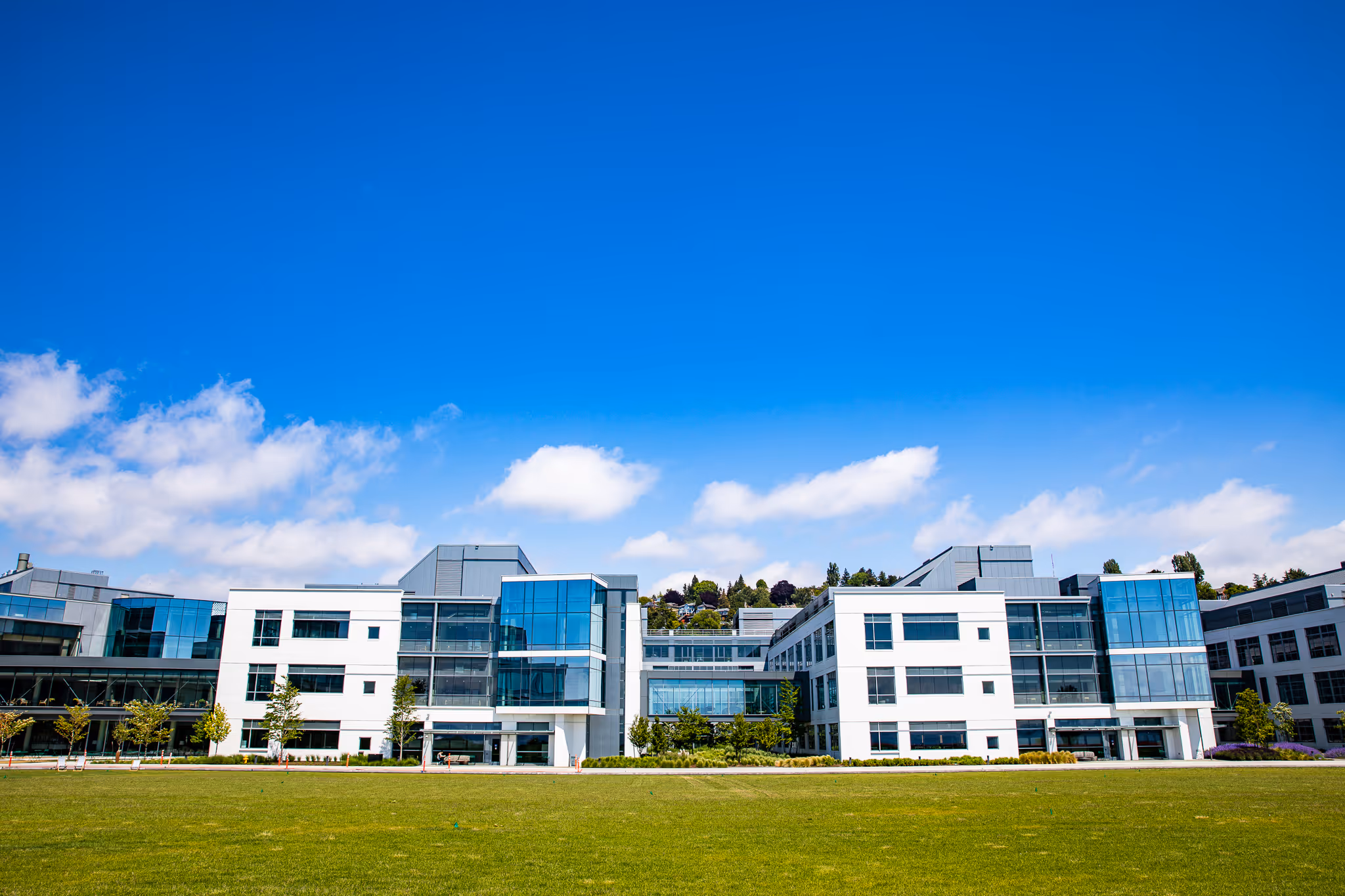 A perfectly mowed field of grass in front of a commercial building. 
