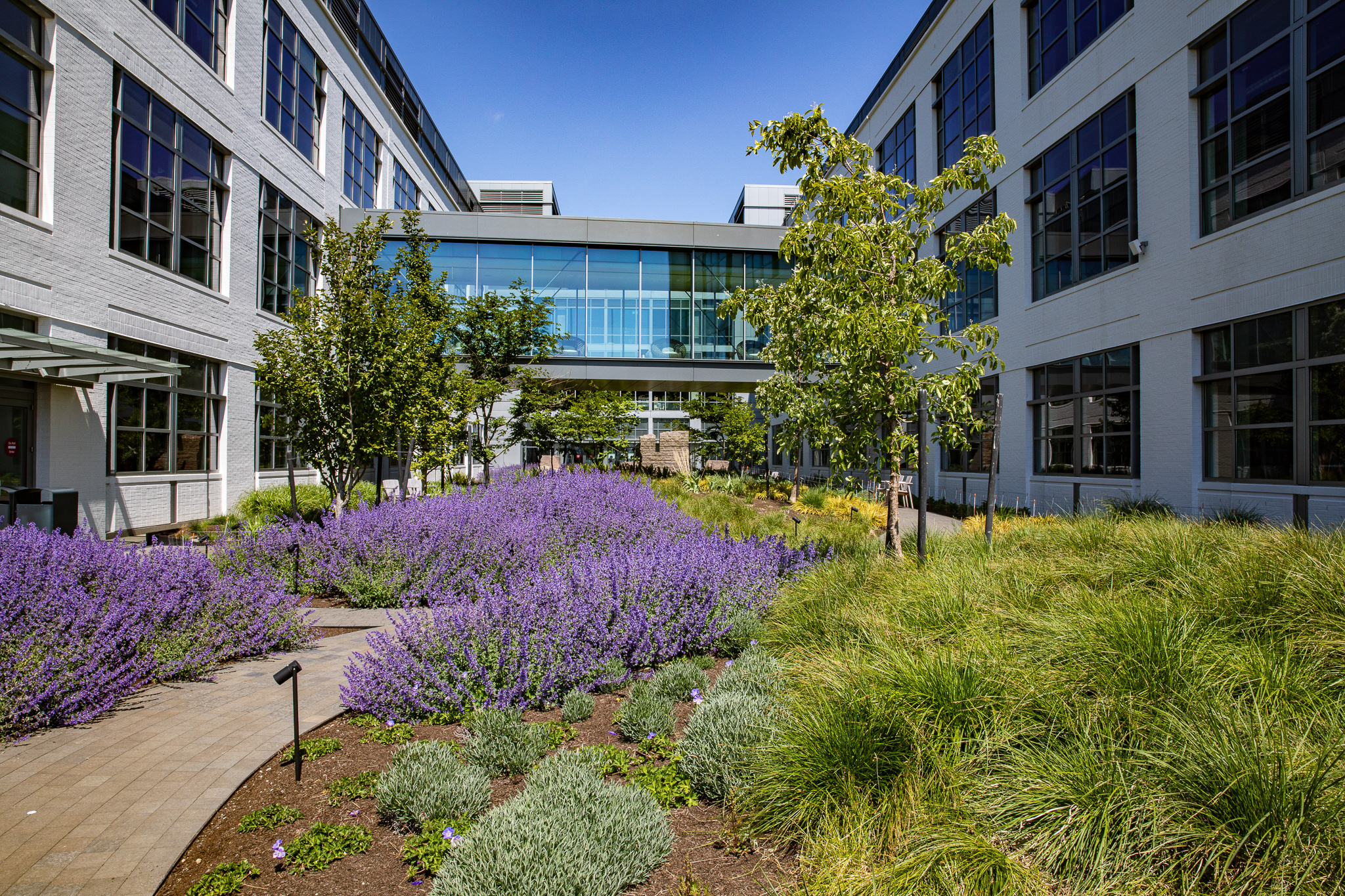 Landscape Maintenance Services Checklist