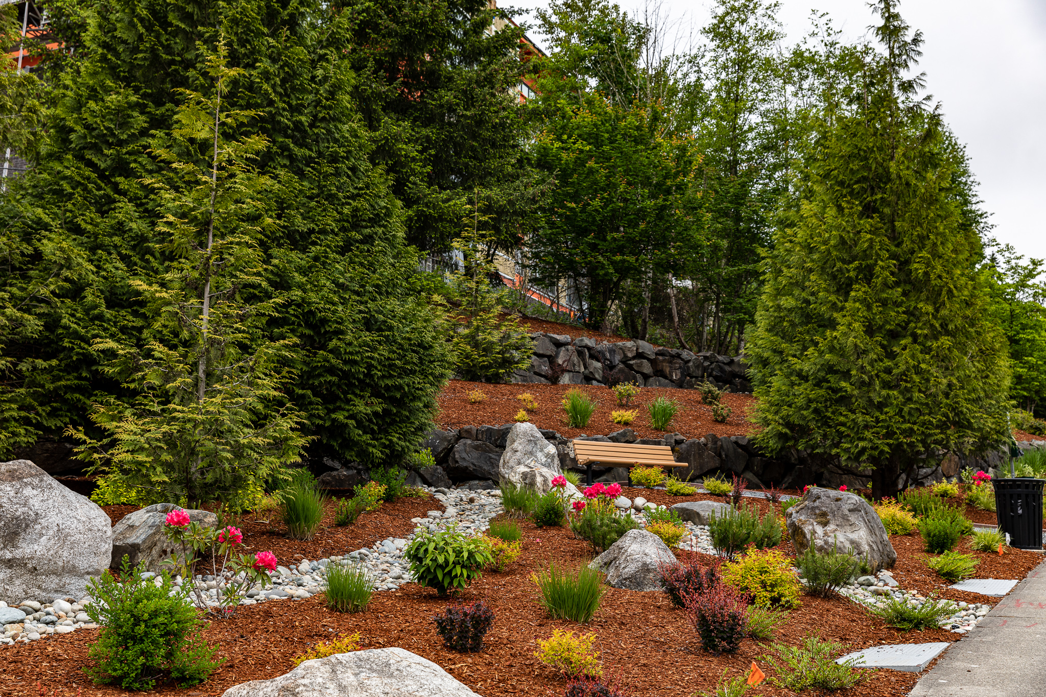importance of trees, tree specialist, commercial tree services