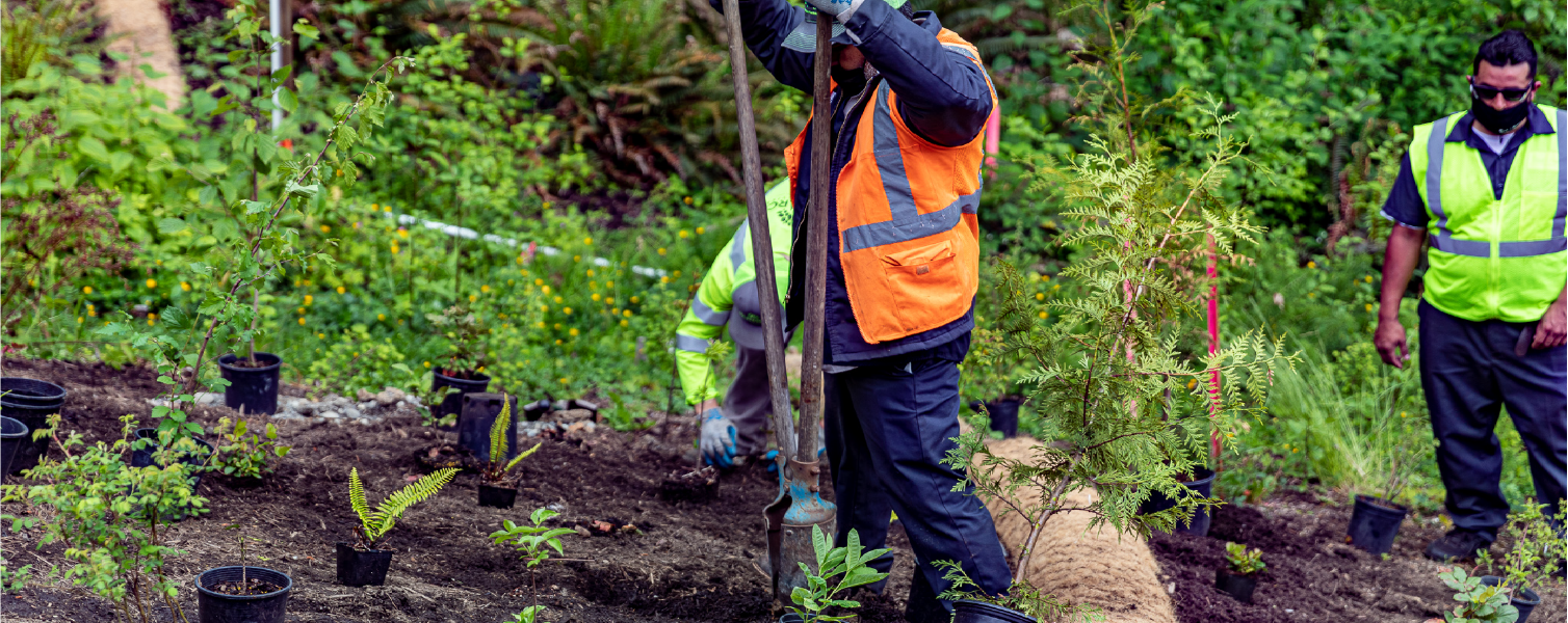 Beautiful landscape improvements featuring expert design landscaping and stunning landscape enhancements
