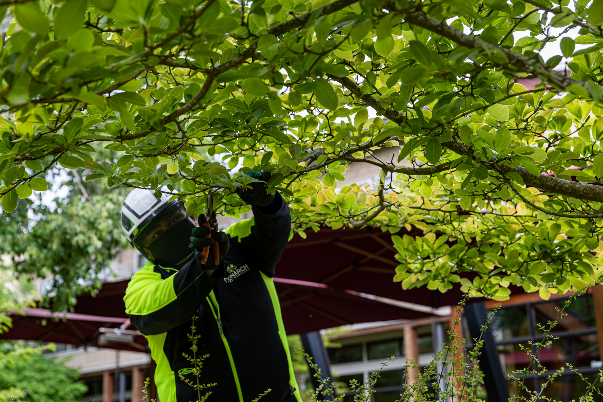 Nurturing Nature: An In-Depth Guide to Seasonal Maintenance in Commercial Landscapes