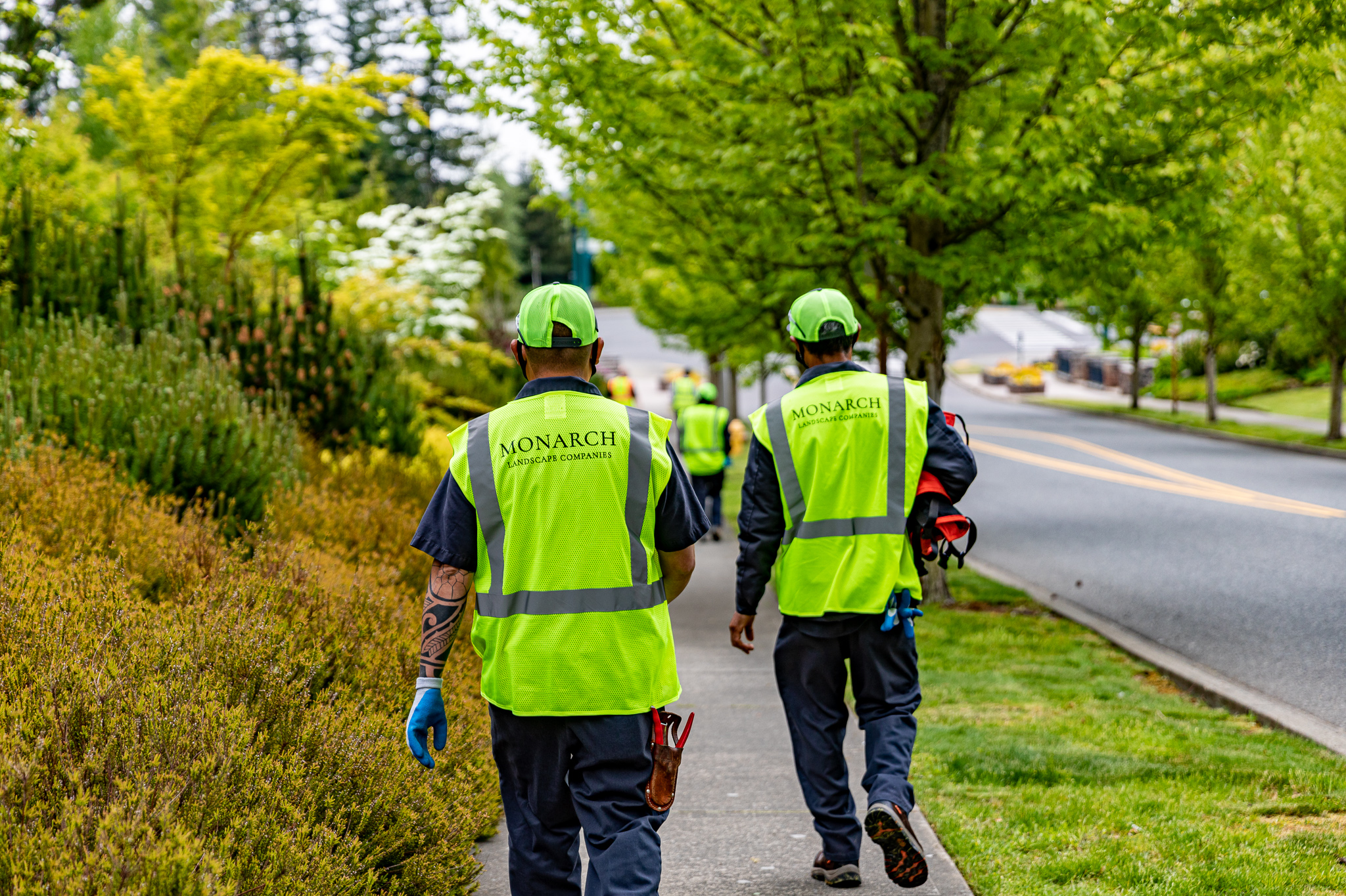 What Is Commercial Landscape Maintenance and What Can It Do for You?