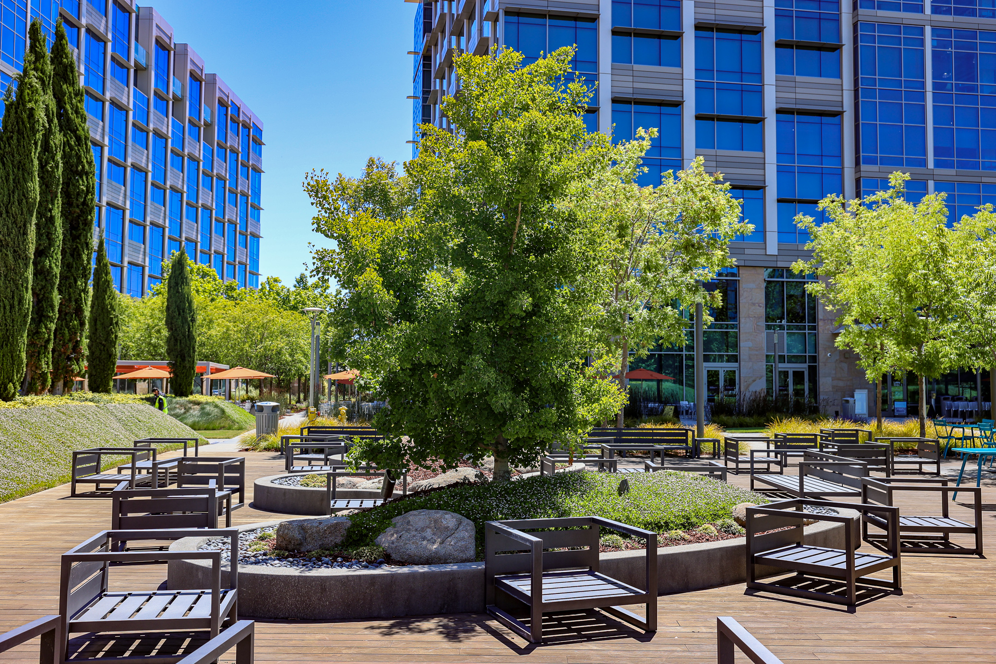 Benefits of Trees to Commercial Properties