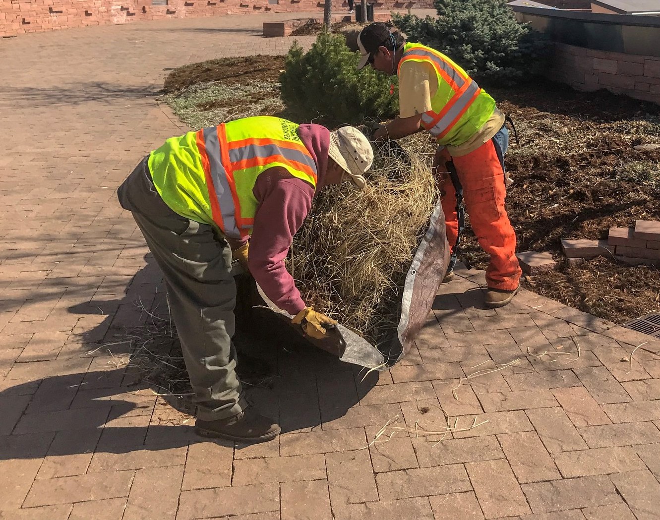 Preparing Commercial Landscapes for Early Spring: Essential Tasks and Maintenance