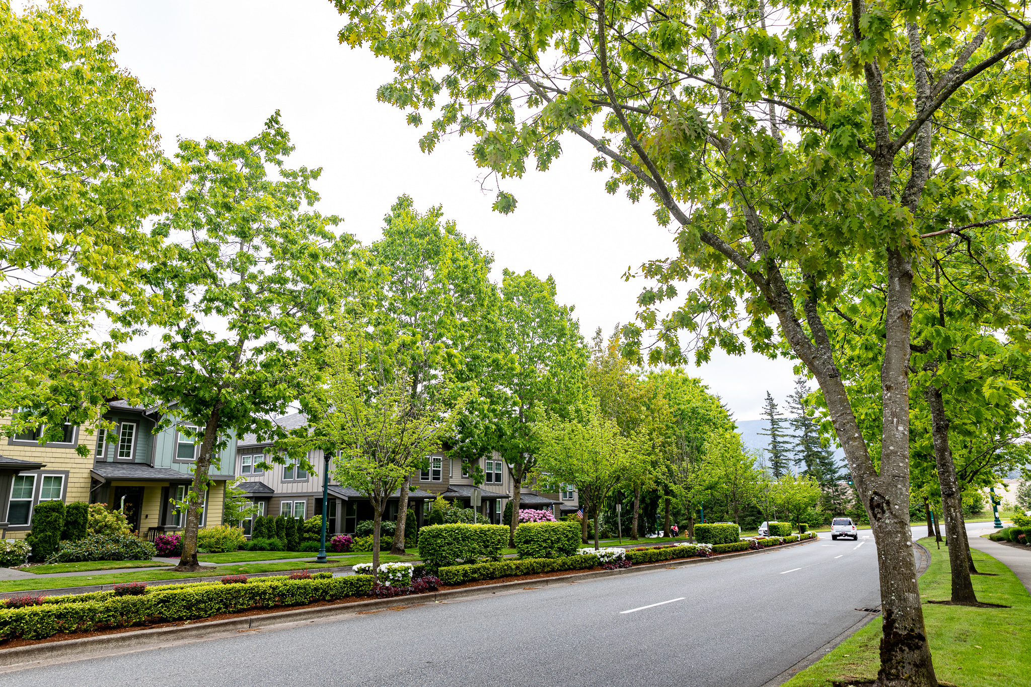Successful Commercial Landscape Request for Proposals