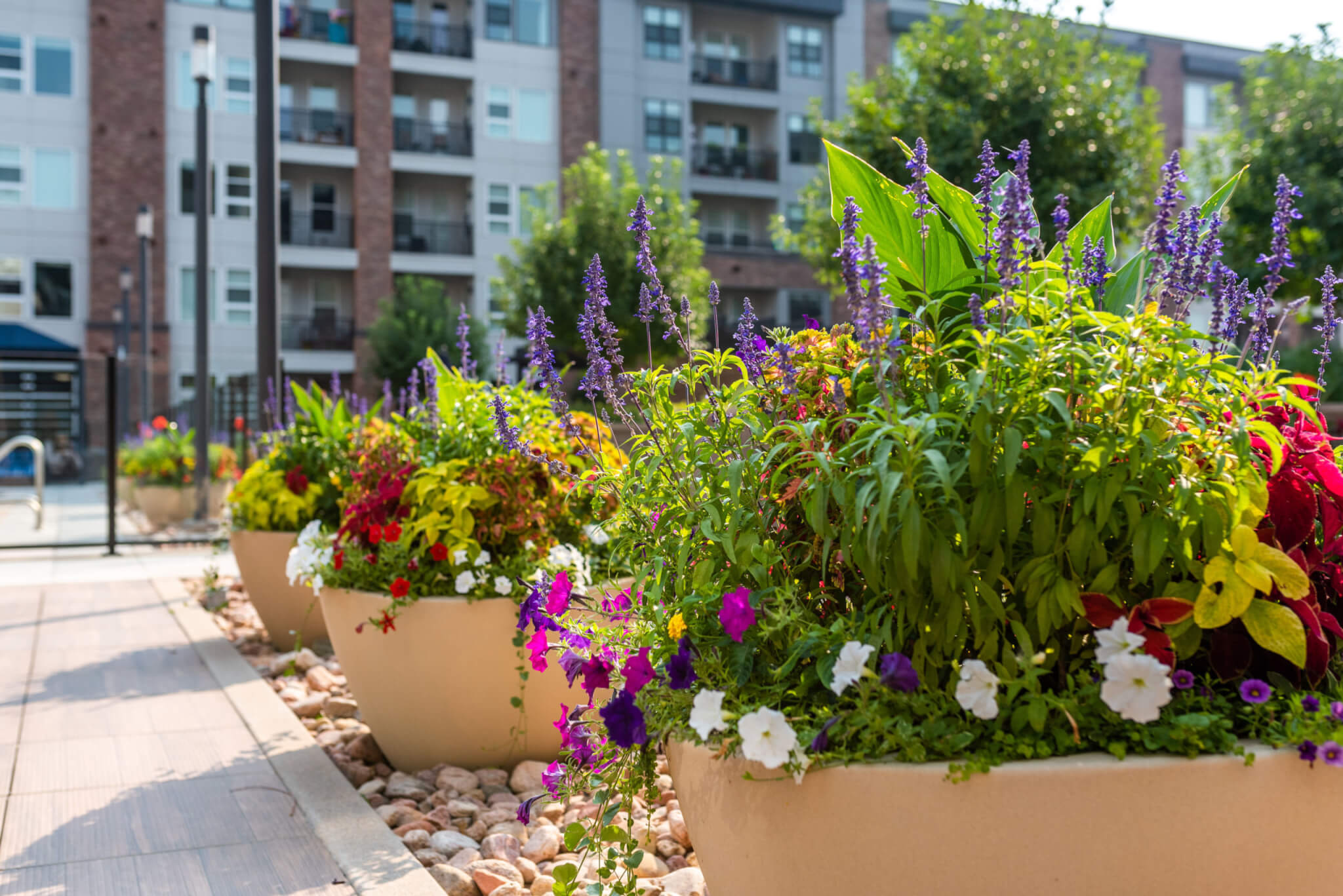 Spring Into Summer: Preparing Your Commercial Landscape for the Heat