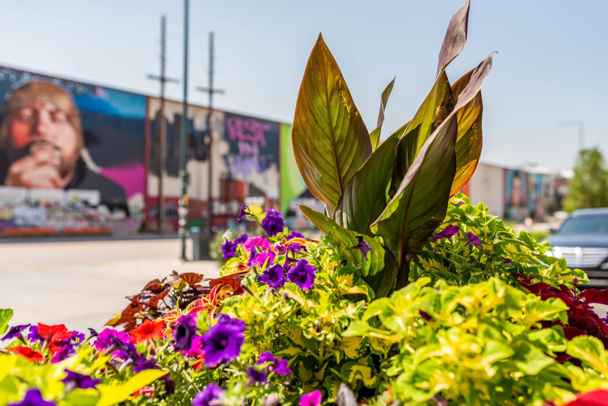 Enhancing Your Commercial Property with Seasonal Color: A Guide by Monarch Landscape