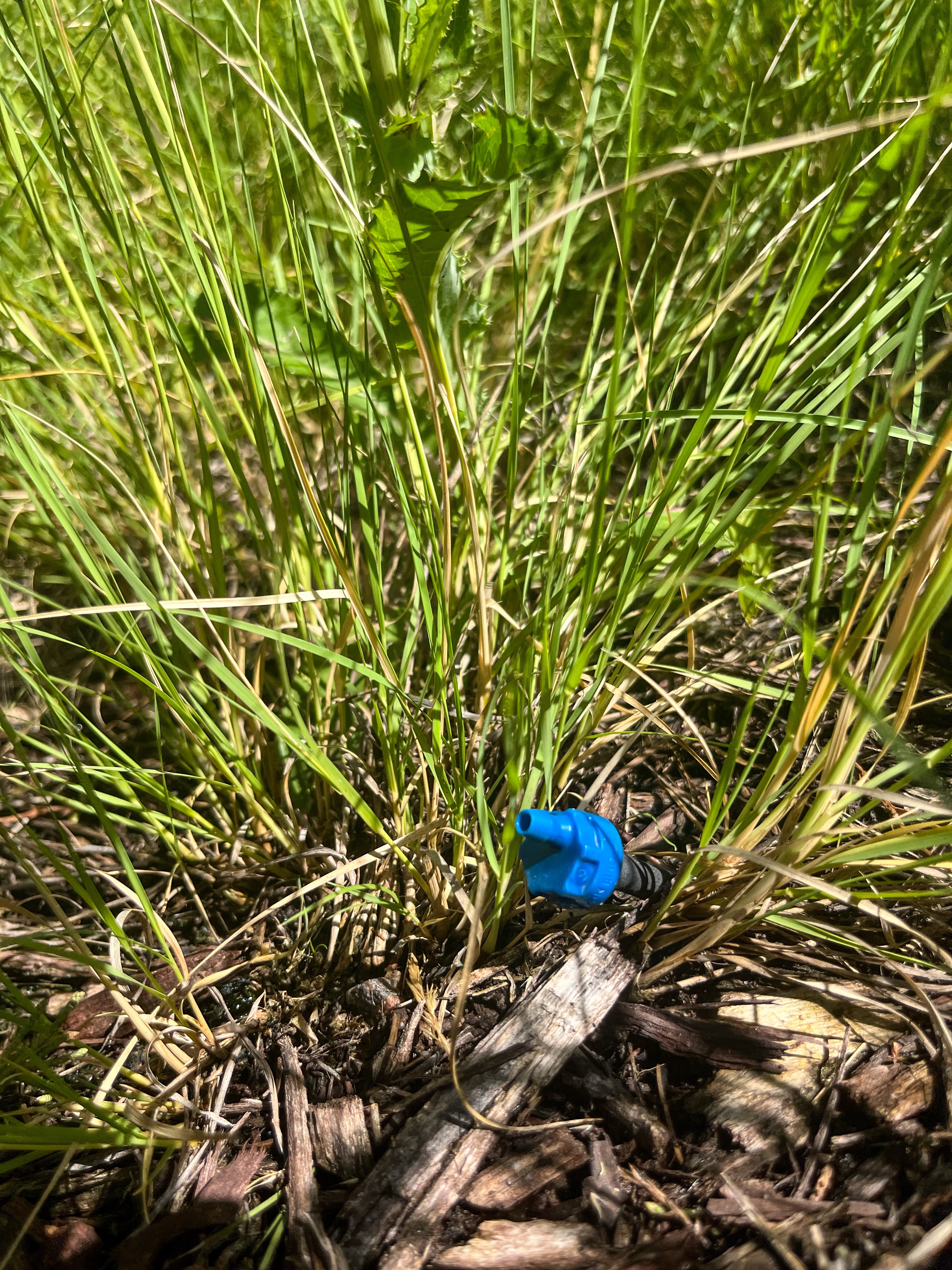 Drip irrigation helps reduce water usage by directly providing water to the plant
