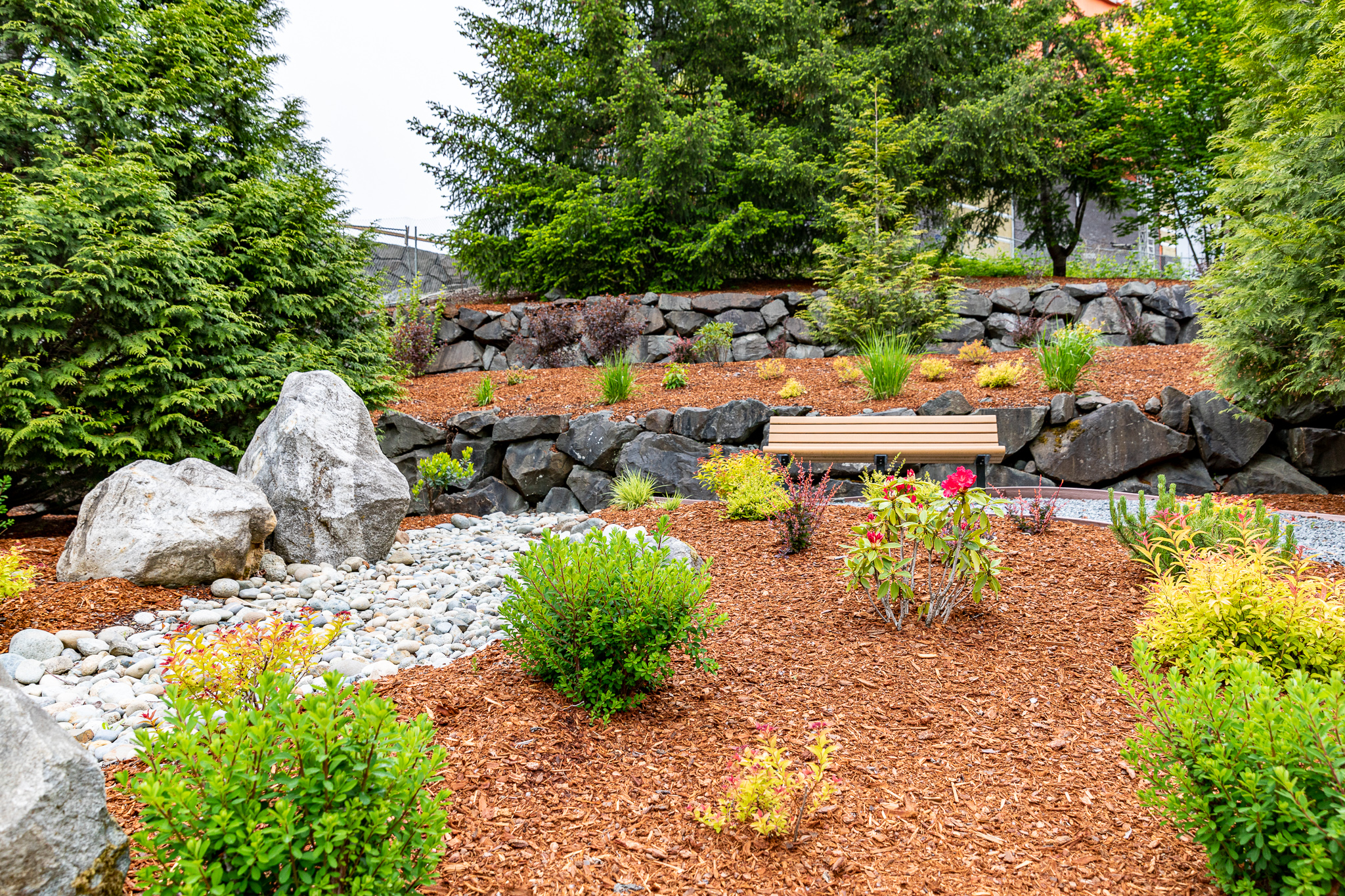 Transform Your Landscape with Turf Conversions: Monarch Landscape's Innovative Approach