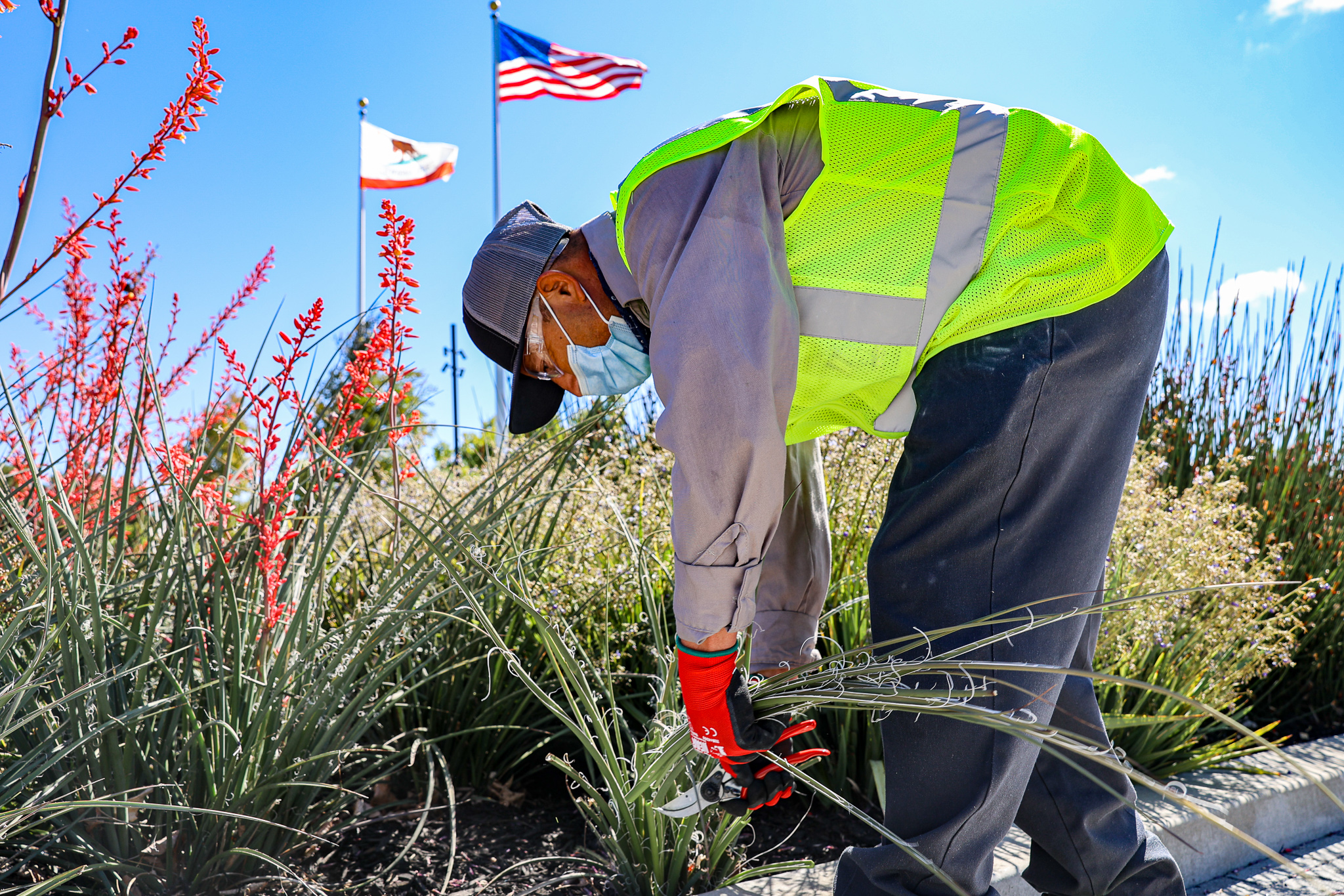 Pruning and trimming for summer preparation 