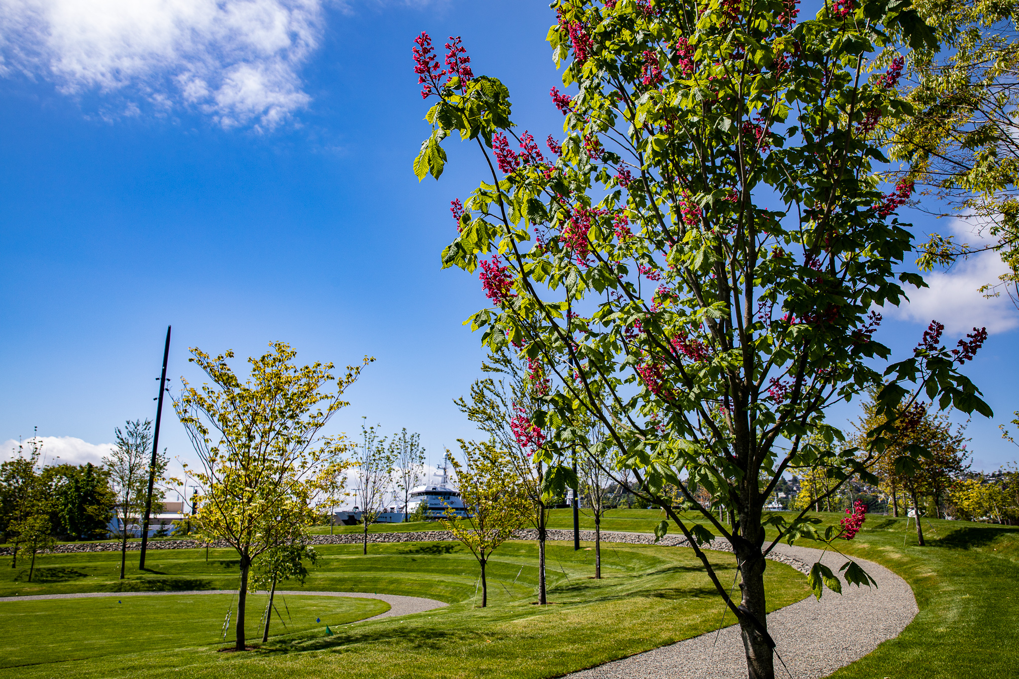 Spring Landscaping to Boost Employee Morale: How Well-Maintained Outdoor Spaces Create a Positive, Productive Work Environment
