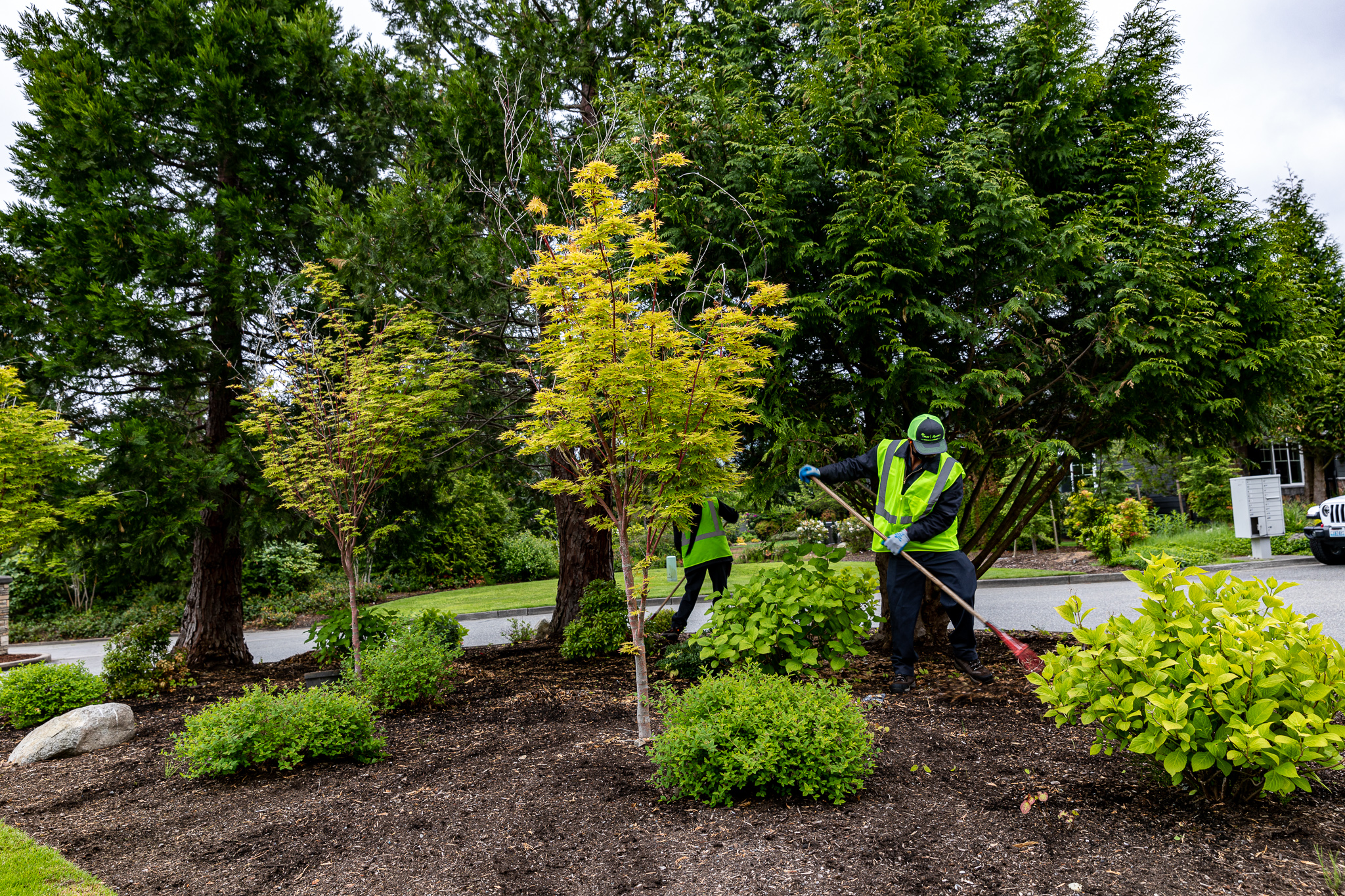 Maximize Your Winter: The Benefits of Enhancing Your Landscape Now for a Successful Spring