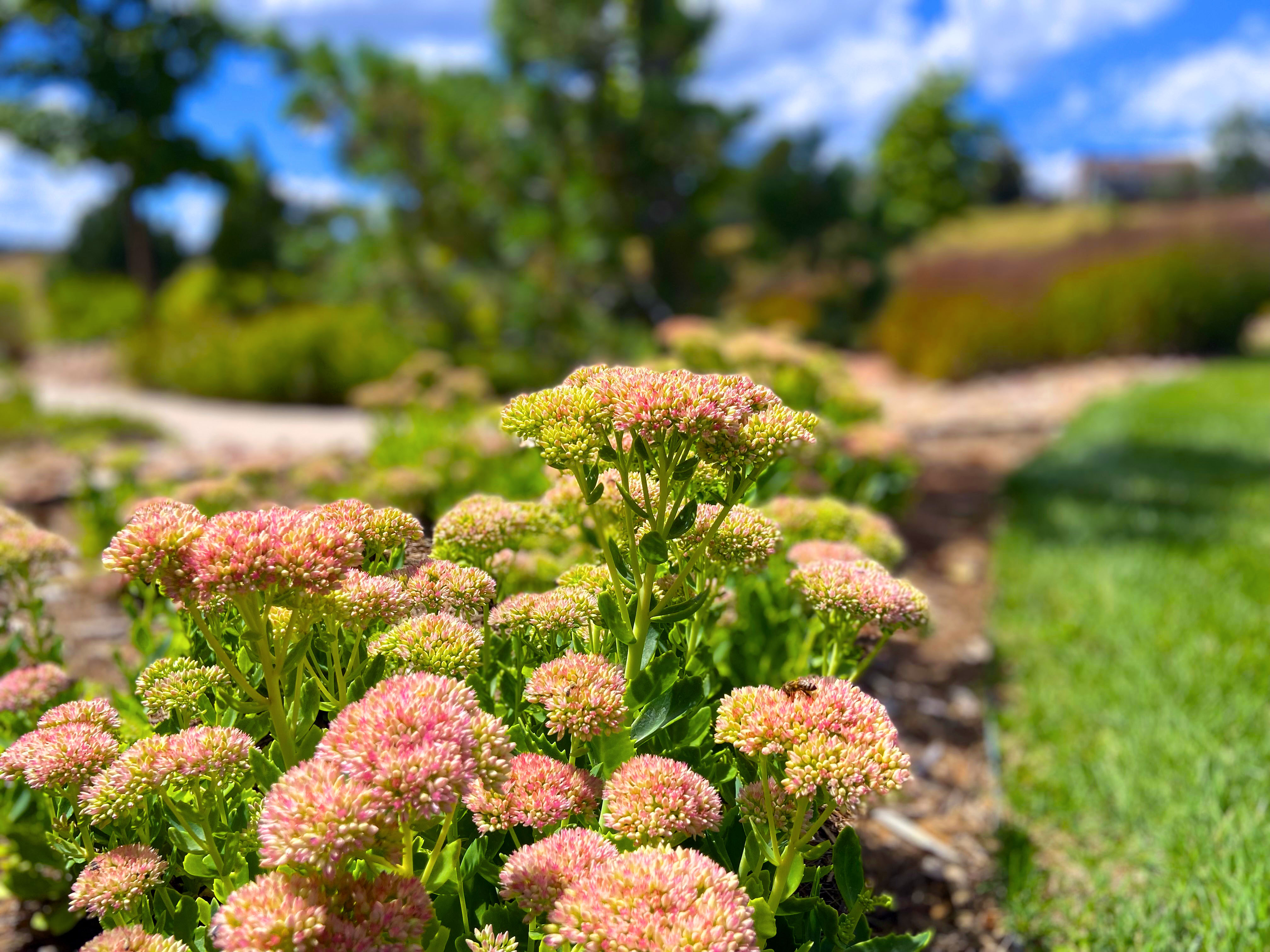 spring landscaping, spring landscape services, landscape spring,