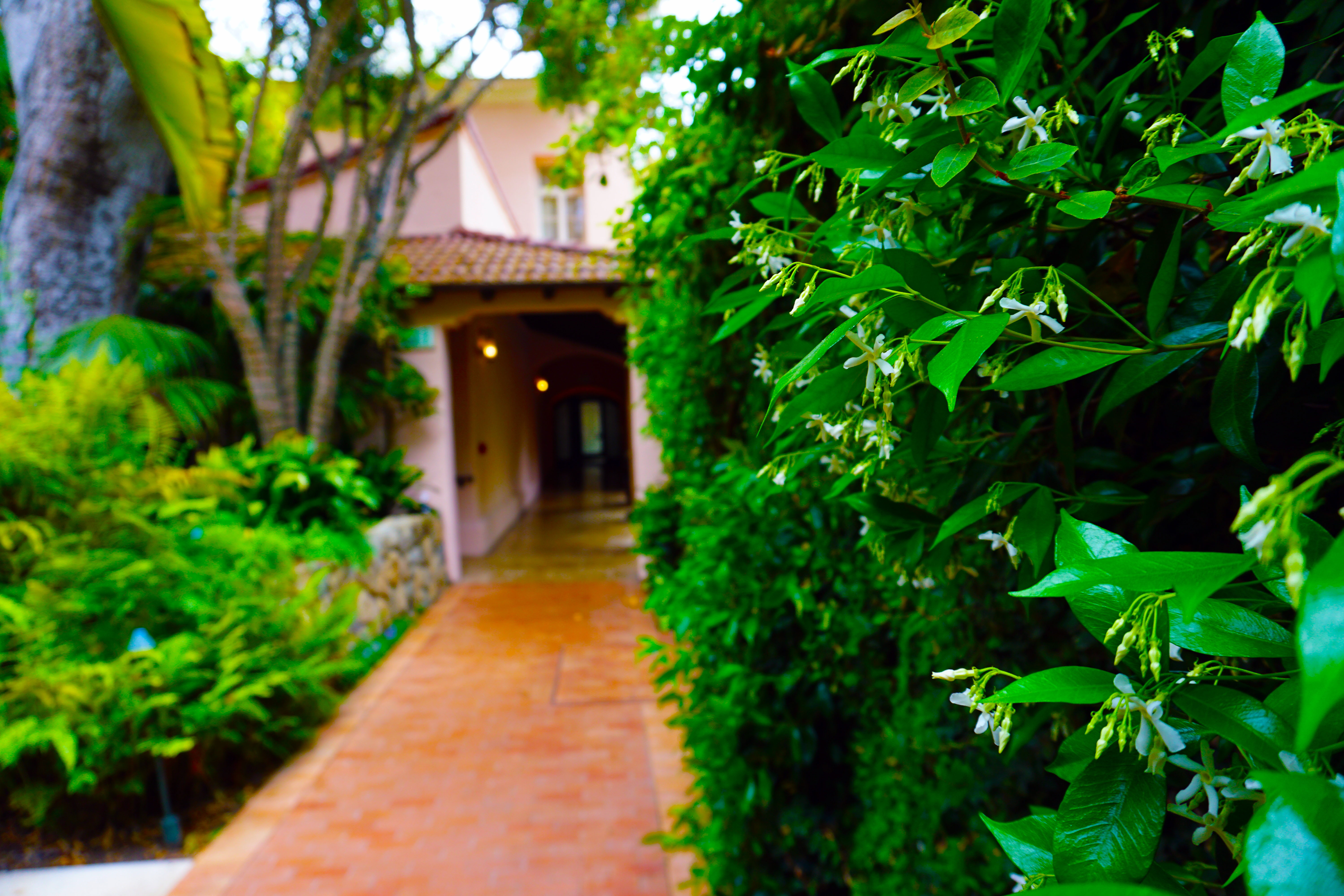 Is It Time To Change Your Landscaping Service Provider?