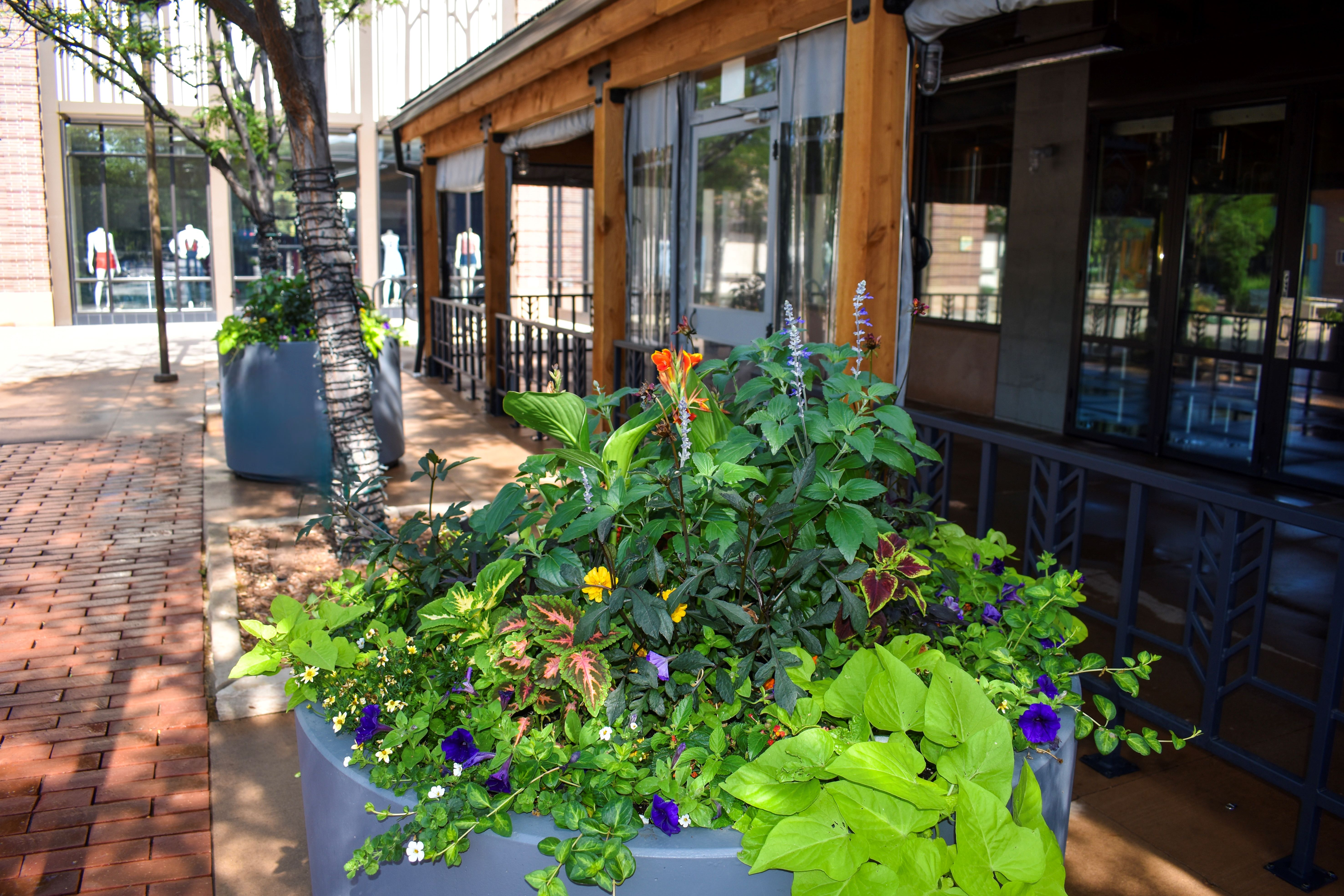 Late April Landscaping: Key Commercial Property Enhancements Before Summer