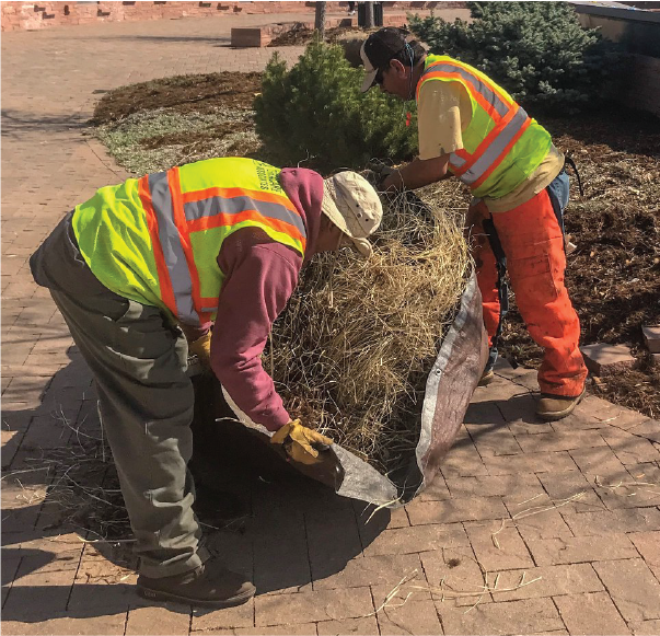 Late Winter Landscaping Tips for Commercial Properties: Preparing for Spring Success