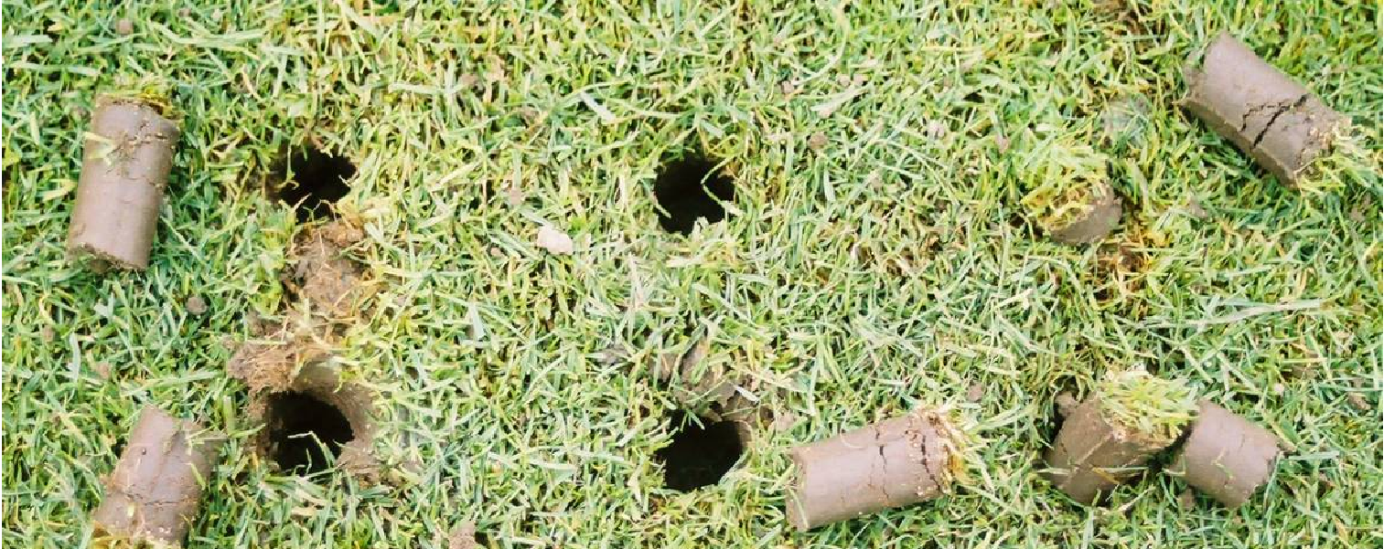 Proper aeration in fall landscaping to enhance commercial lawn health and growth.