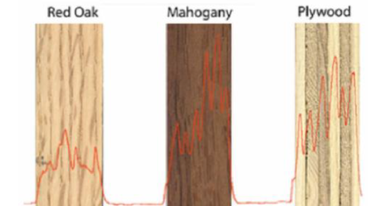 An example of a tree health assessment