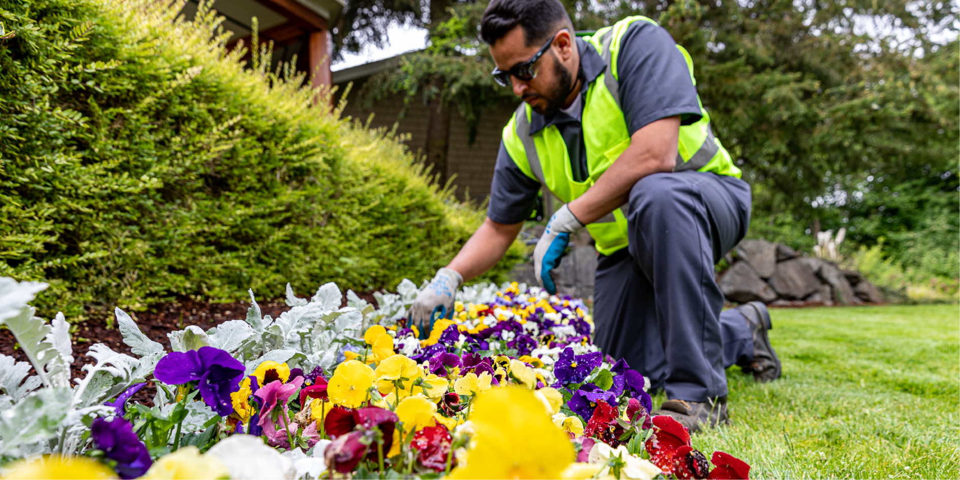 Strategic use of seasonal color to enhance curb appeal while managing landscape costs and optimizing the annual landscaping budget for HOA budgeting.