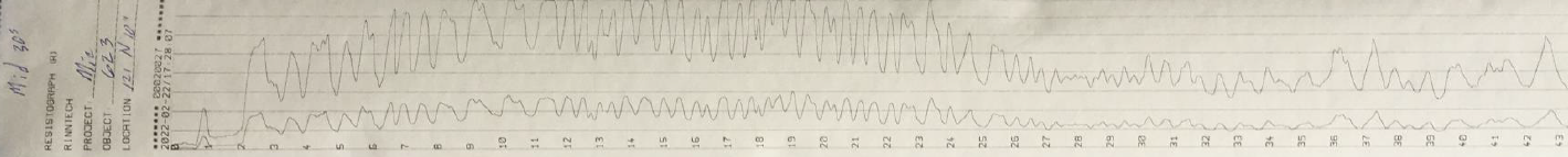 An example of a resistograph chart